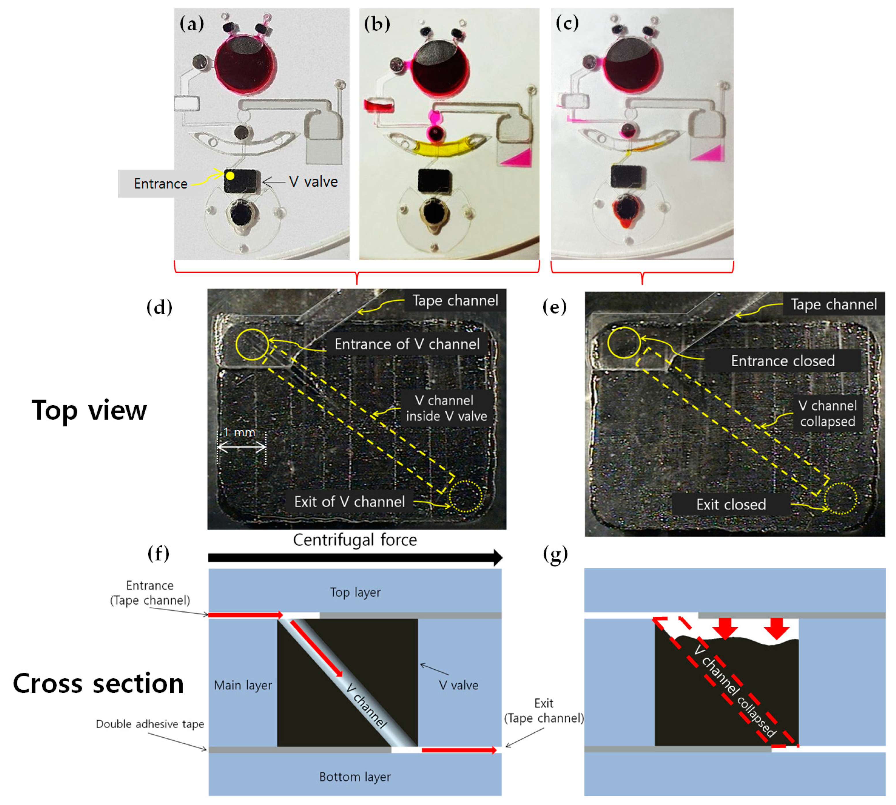 Sensors 19 02621 g003