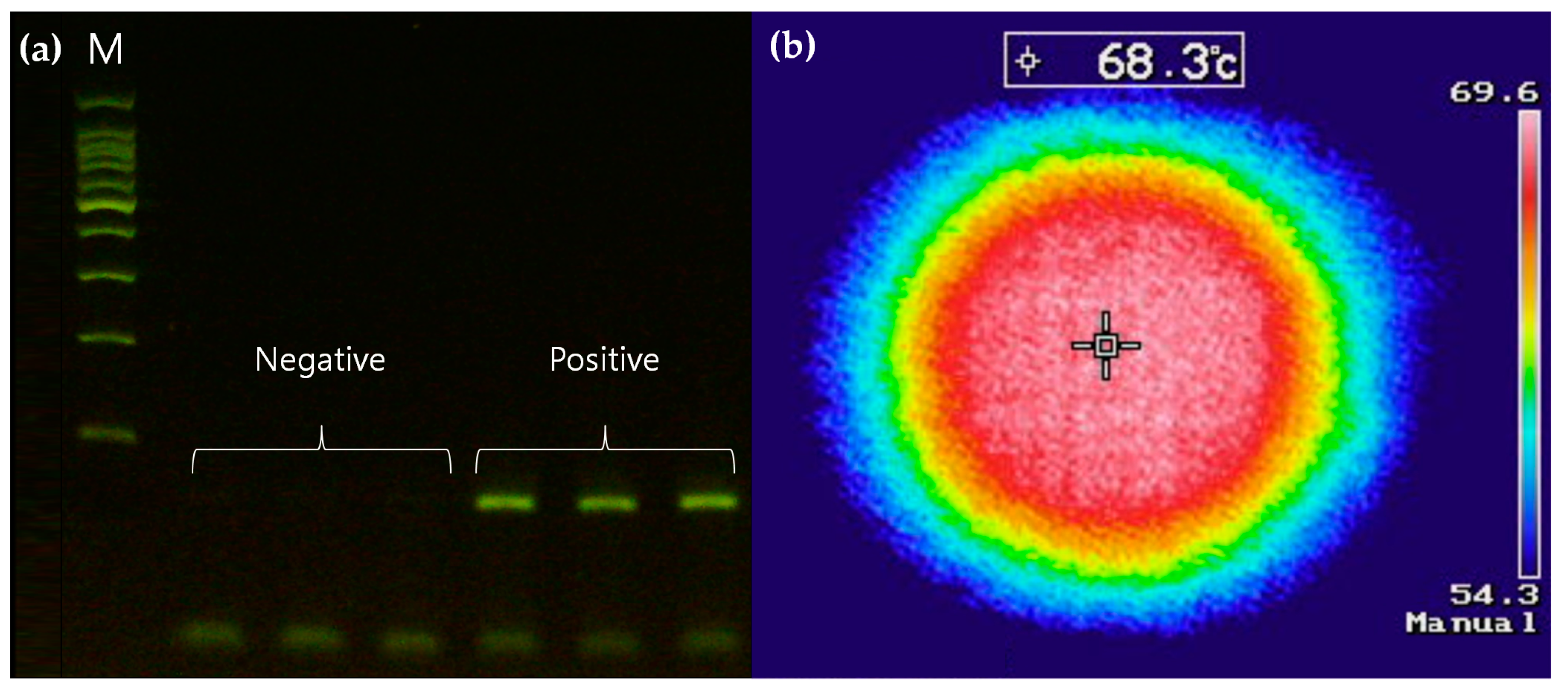 Sensors 19 02621 g004