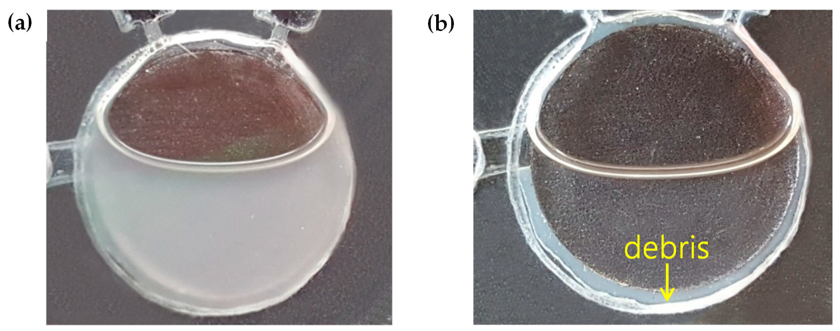 Sensors 19 02621 g005