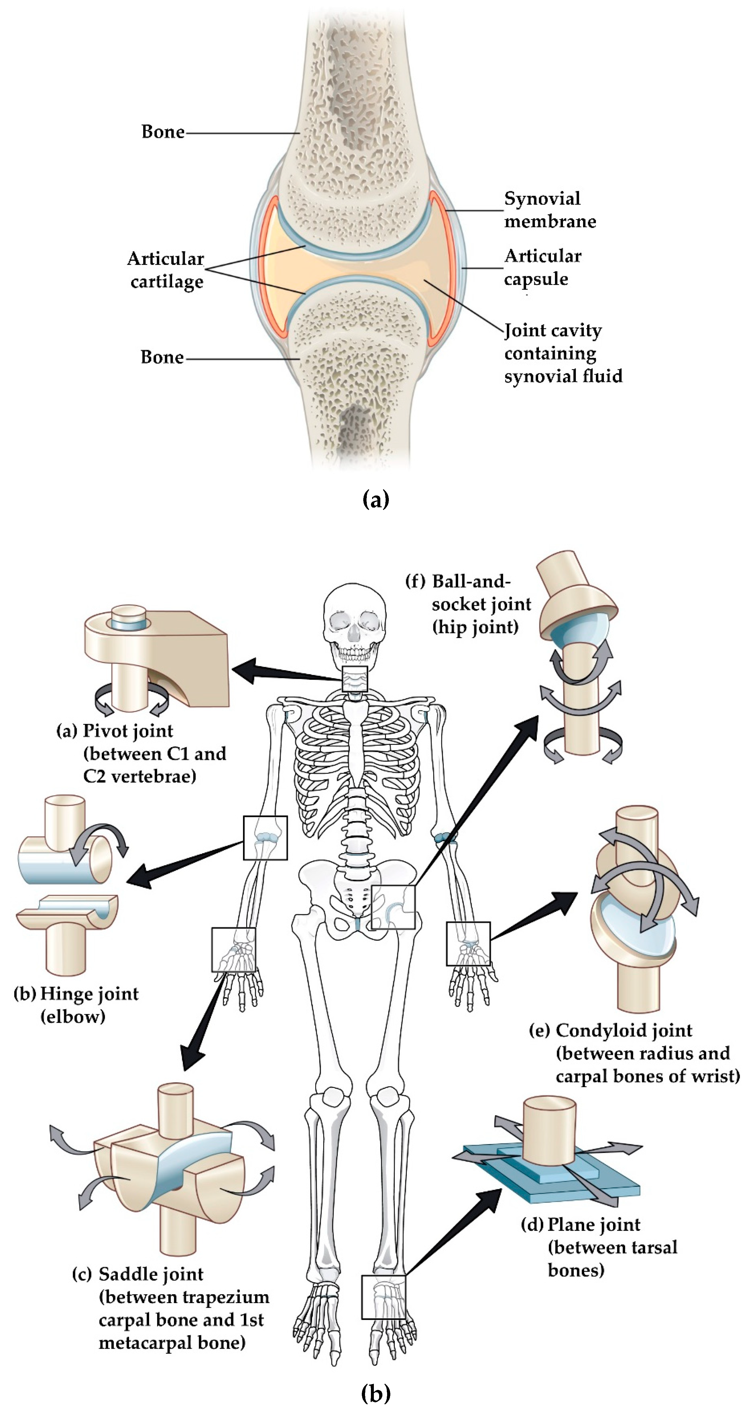 Sensors Free Full Text Monitoring Methods Of Human Body