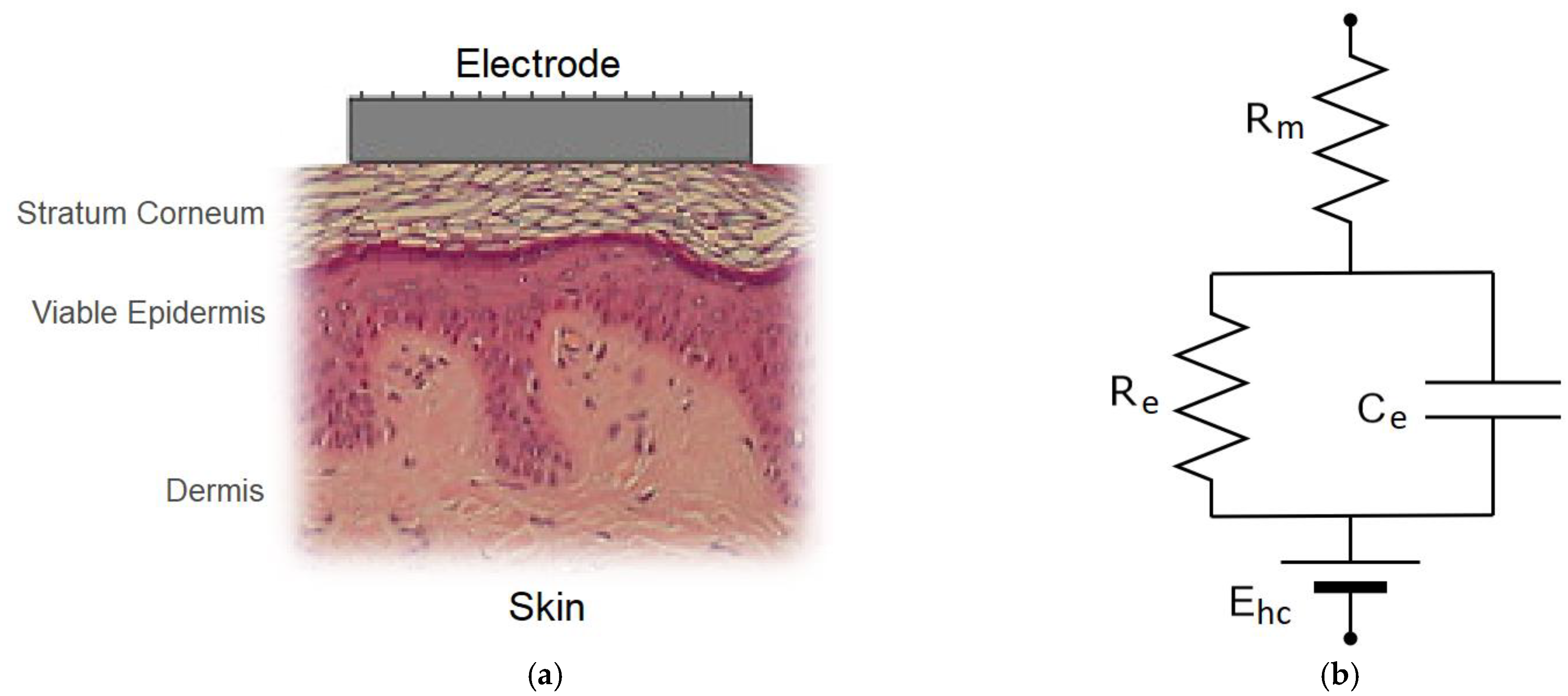 Sensors 19 02637 g002 Sensors 19 02637 g002