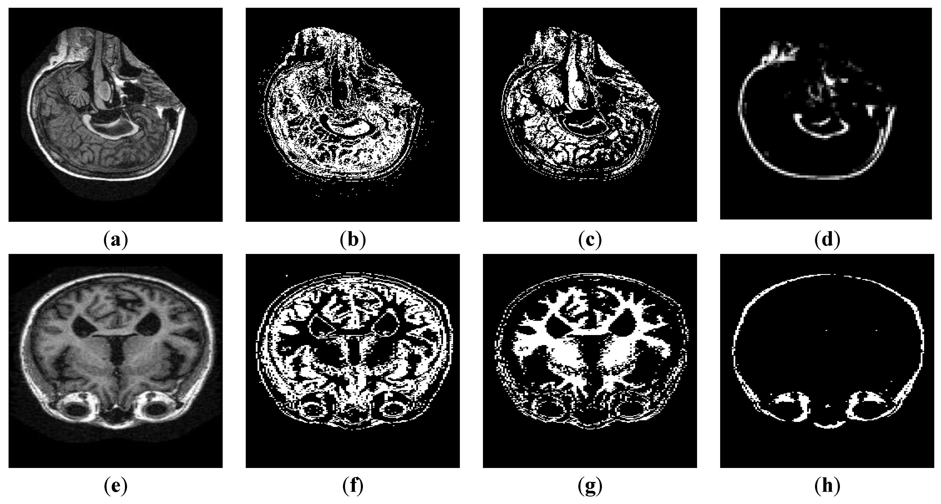Sensors 19 02645 g005