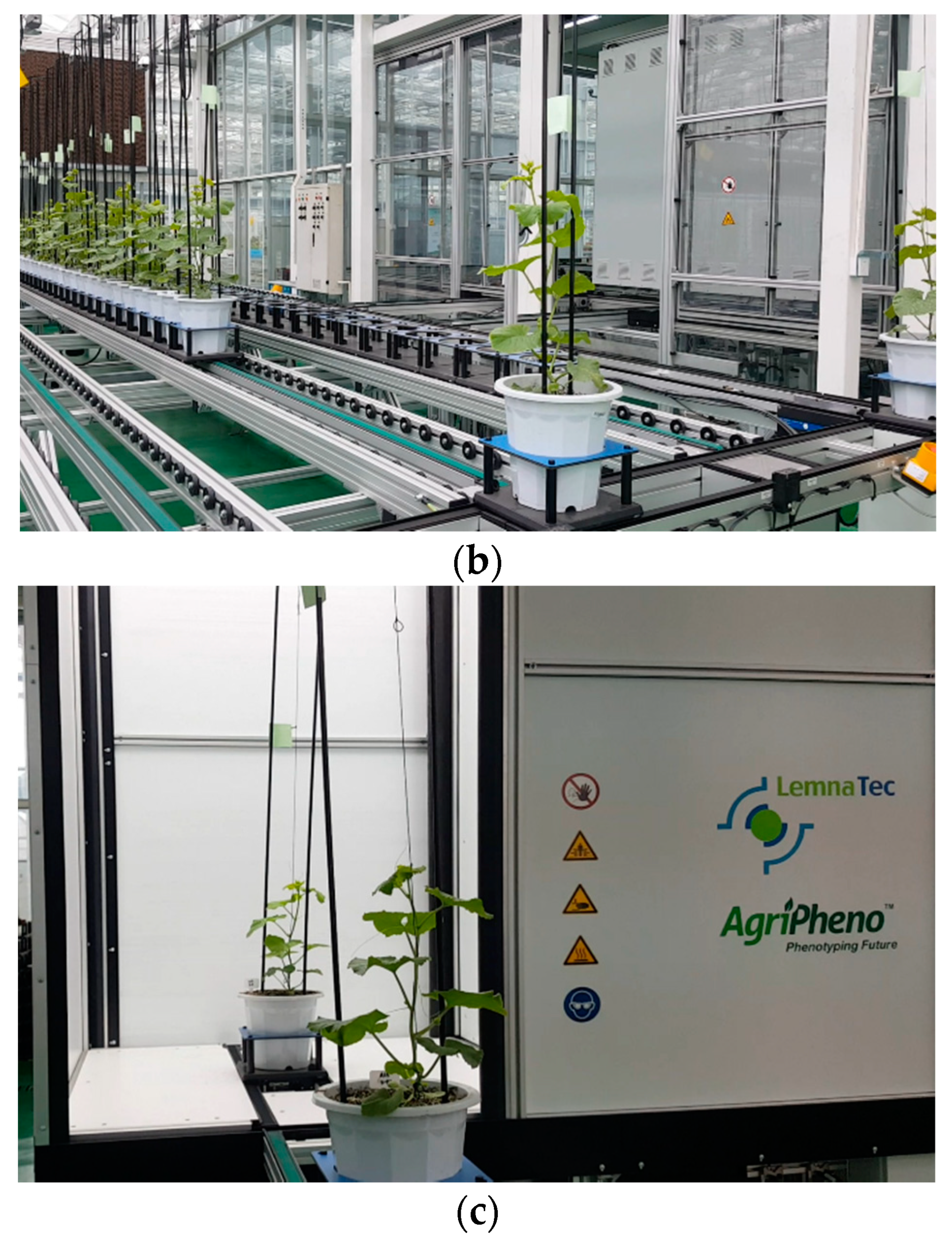 Sensors 19 02673 g002b