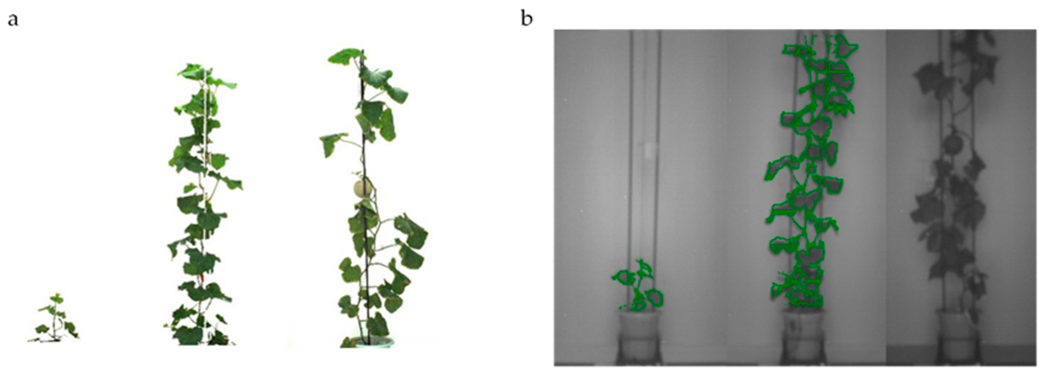 Sensors 19 02673 g003