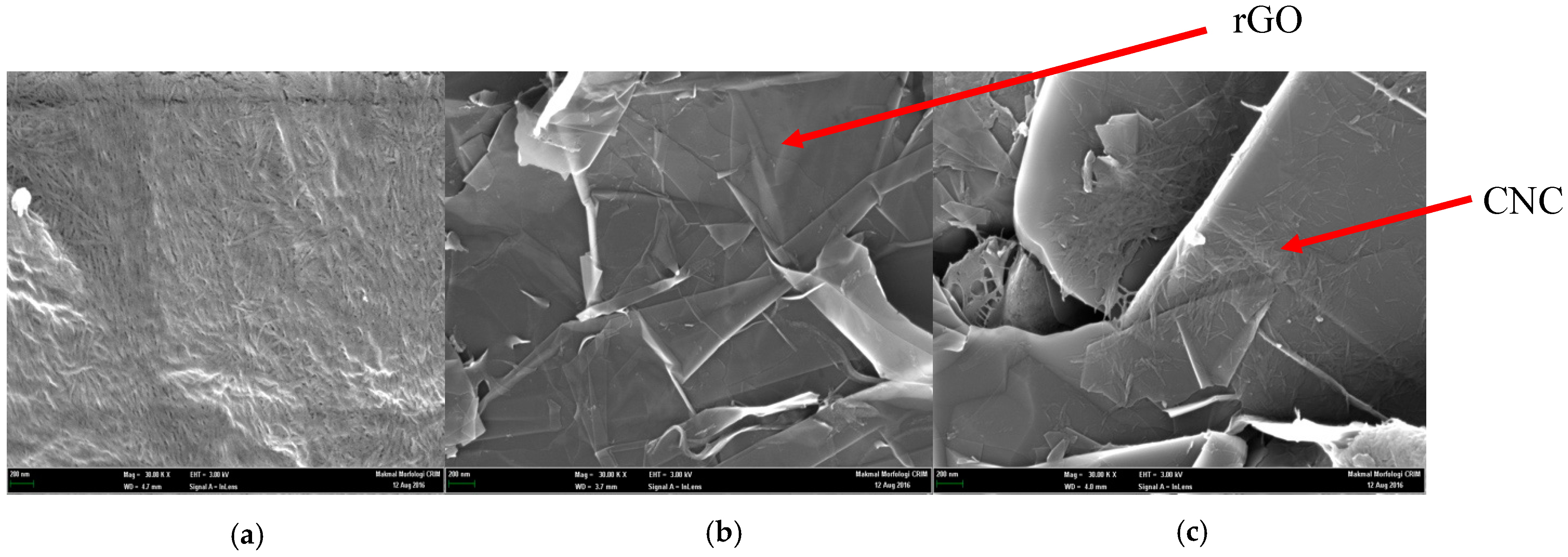 Sensors 19 02726 g002 Sensors 19 02726 g002