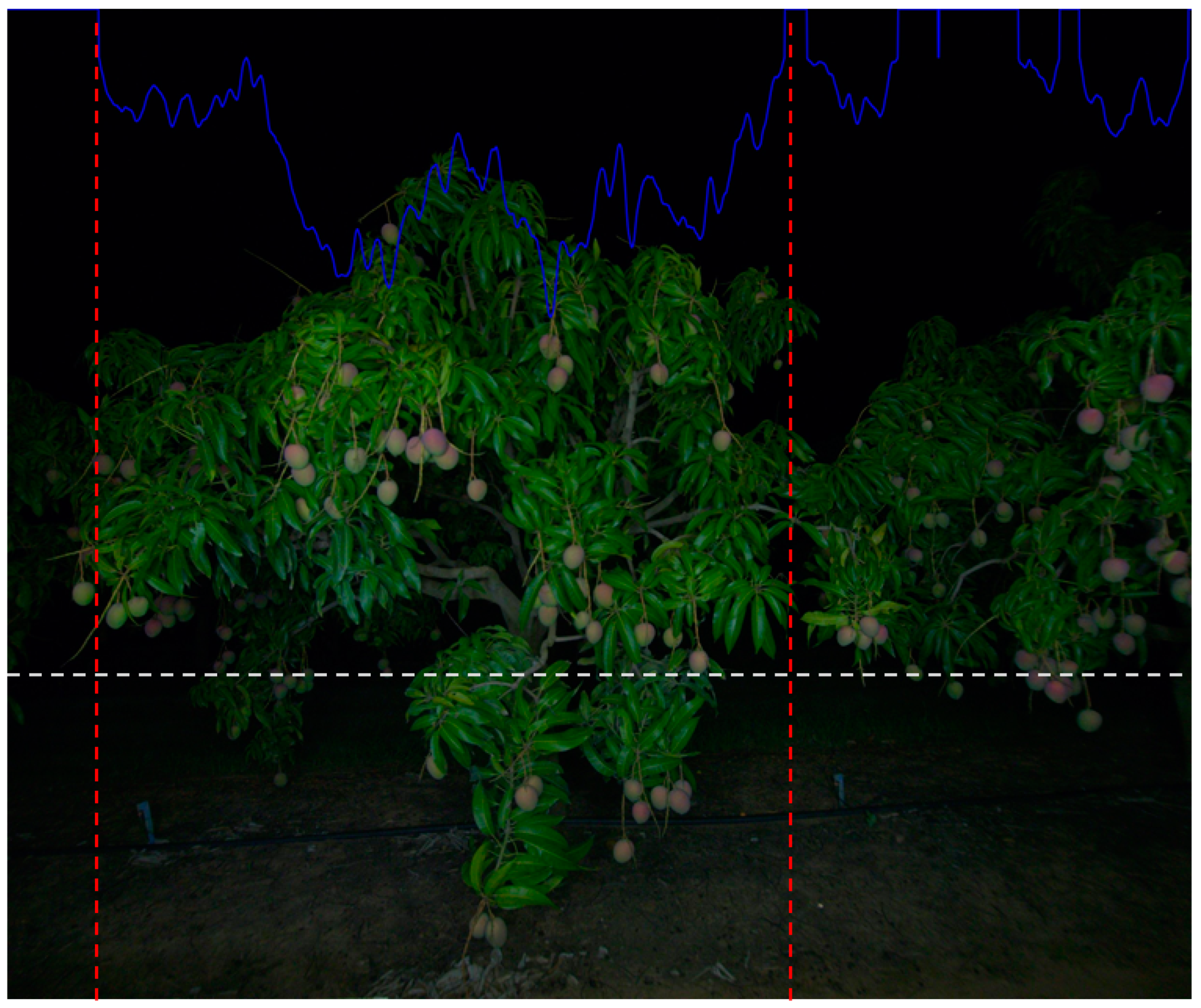 Sensors 19 02742 g002 Sensors 19 02742 g002
