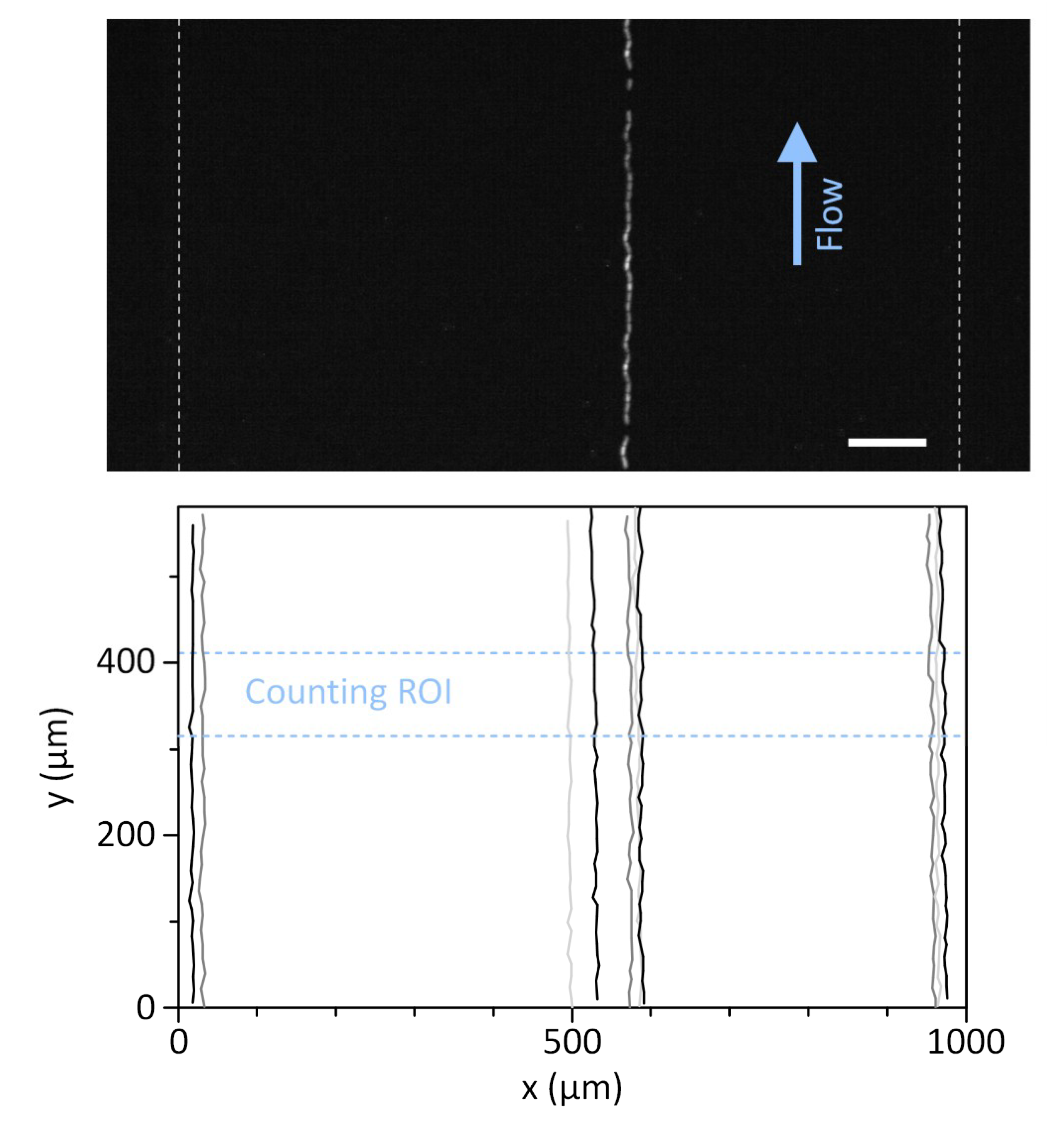 Sensors 19 02761 g005
