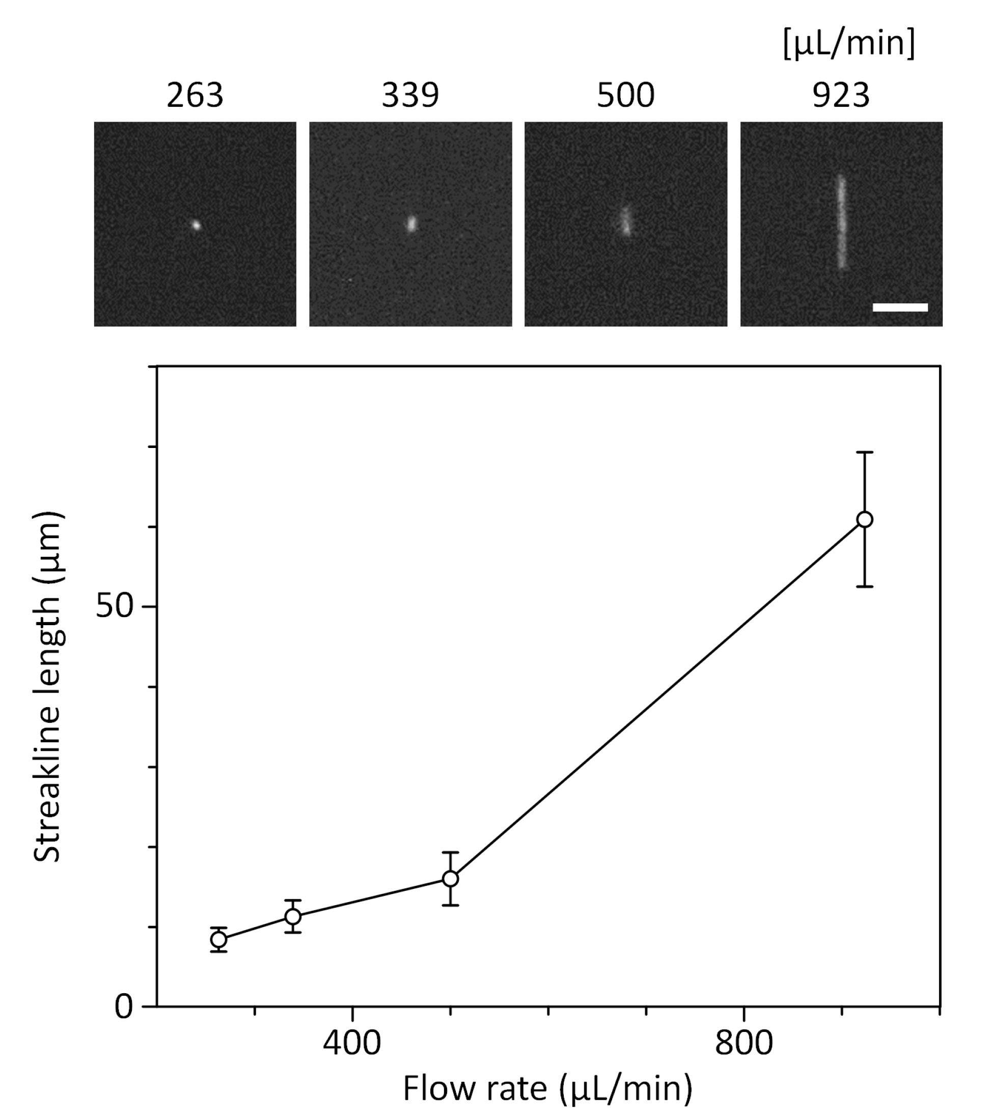 Sensors 19 02761 g006