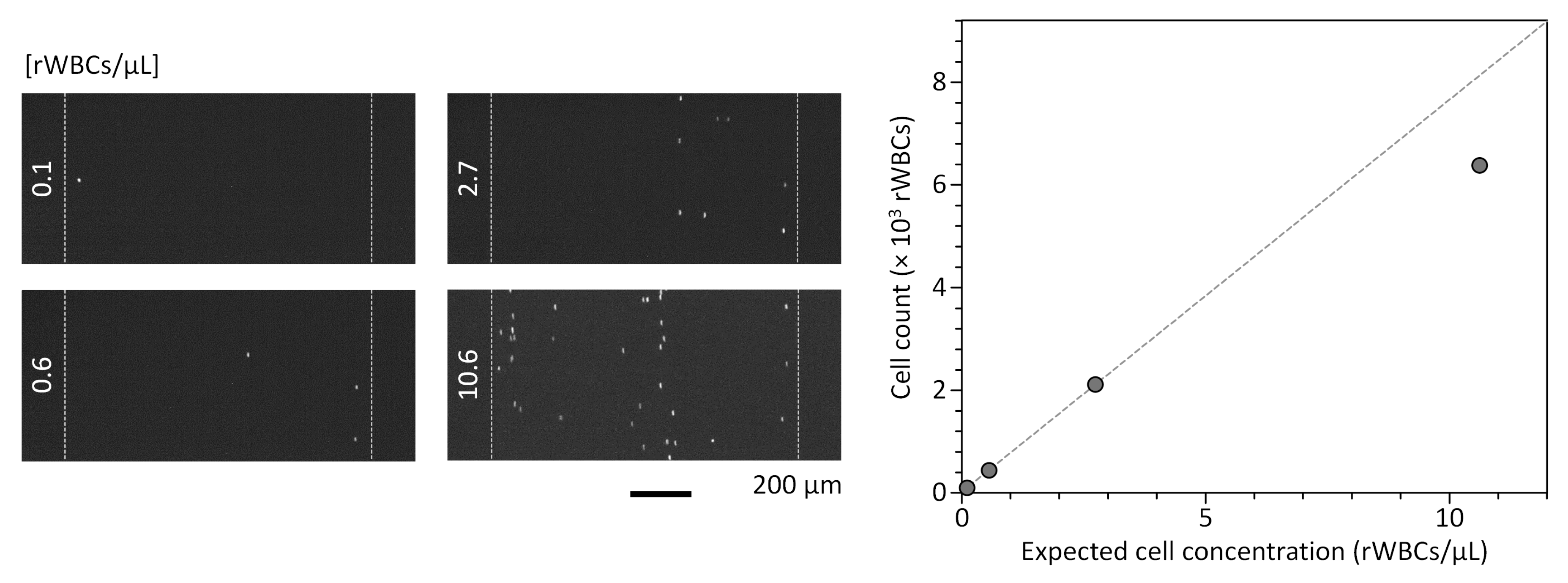 Sensors 19 02761 g007