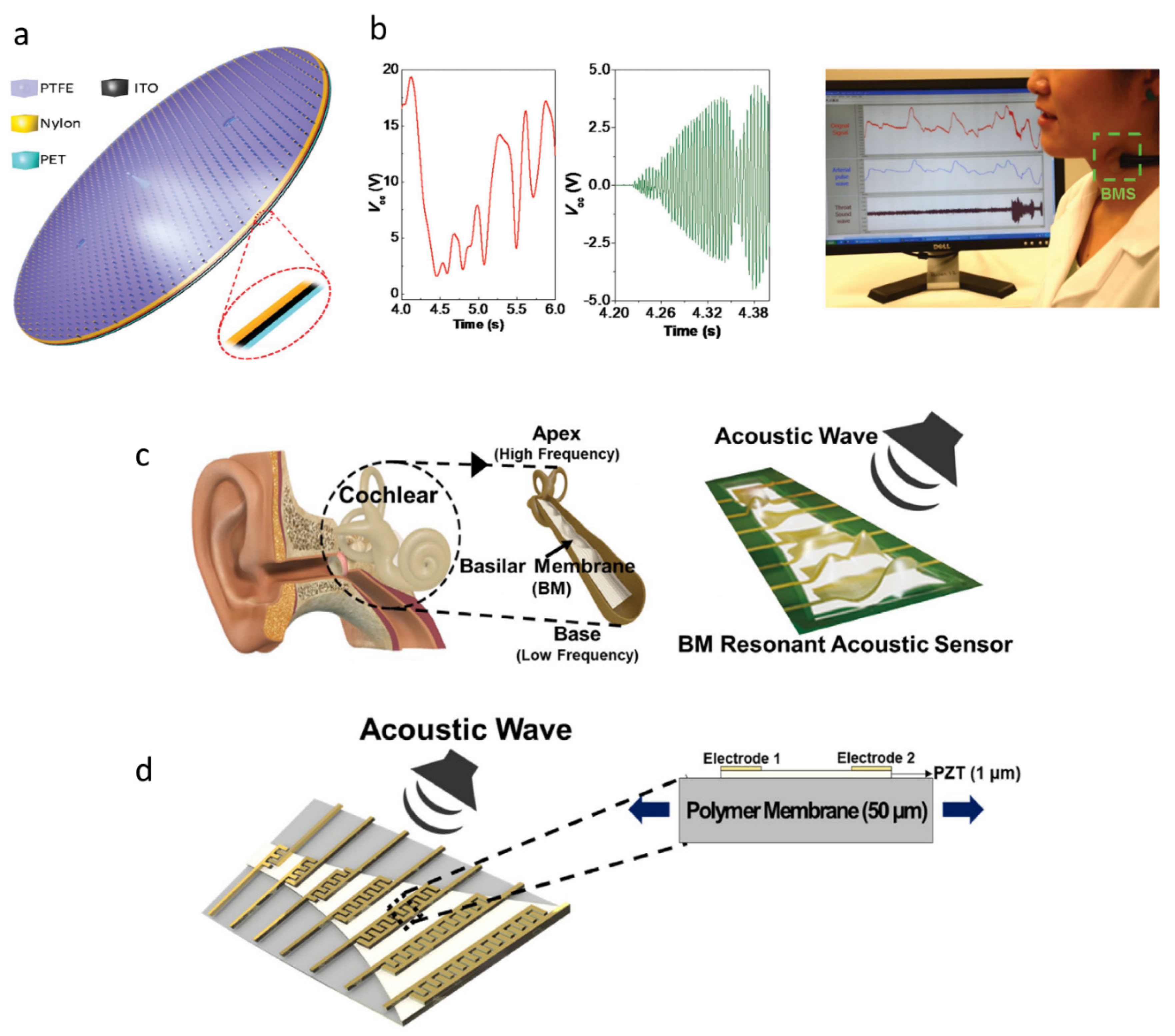 Sensors 19 02763 g006 Sensors 19 02763 g006