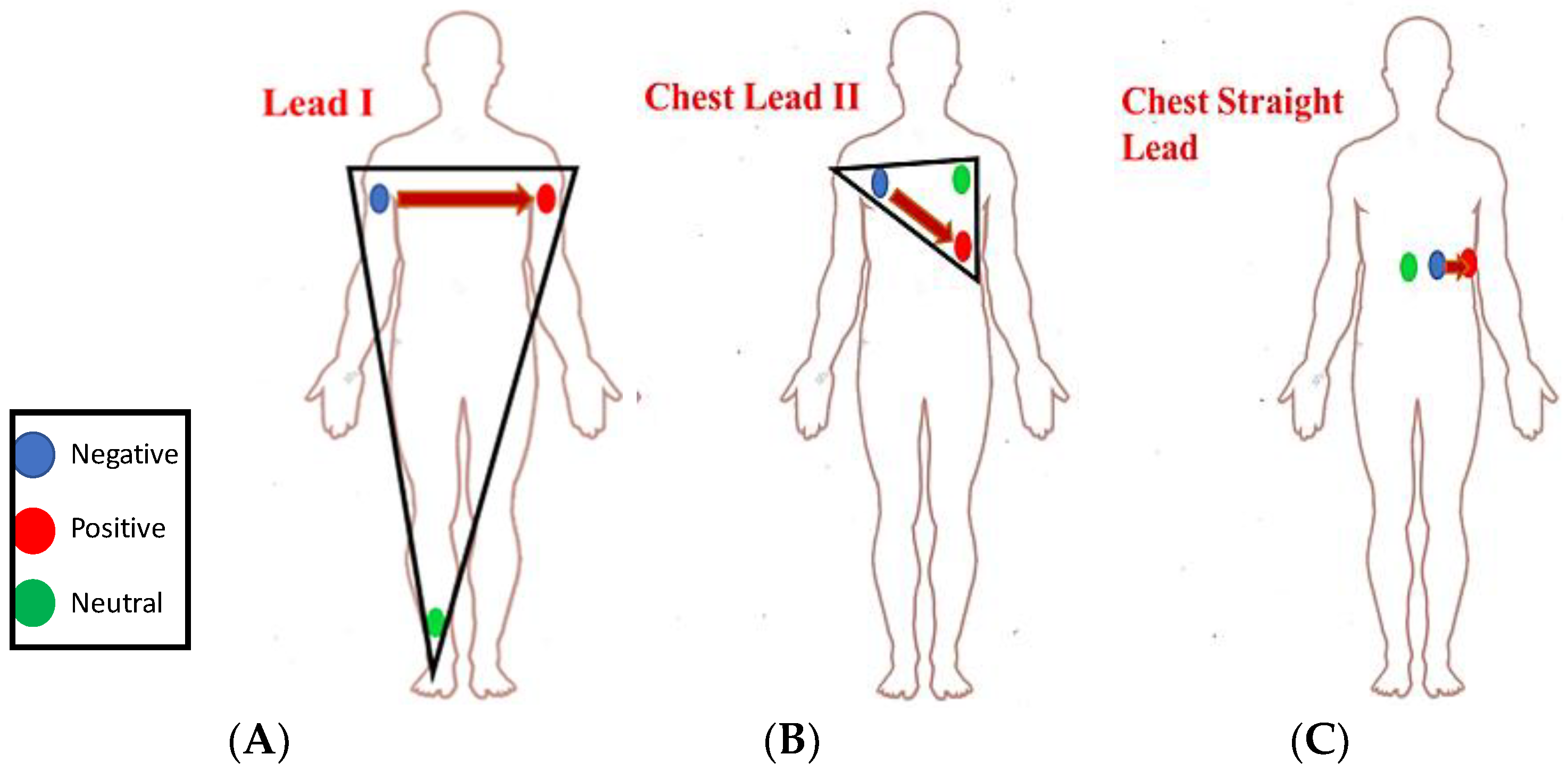 Sensors 19 02780 g005