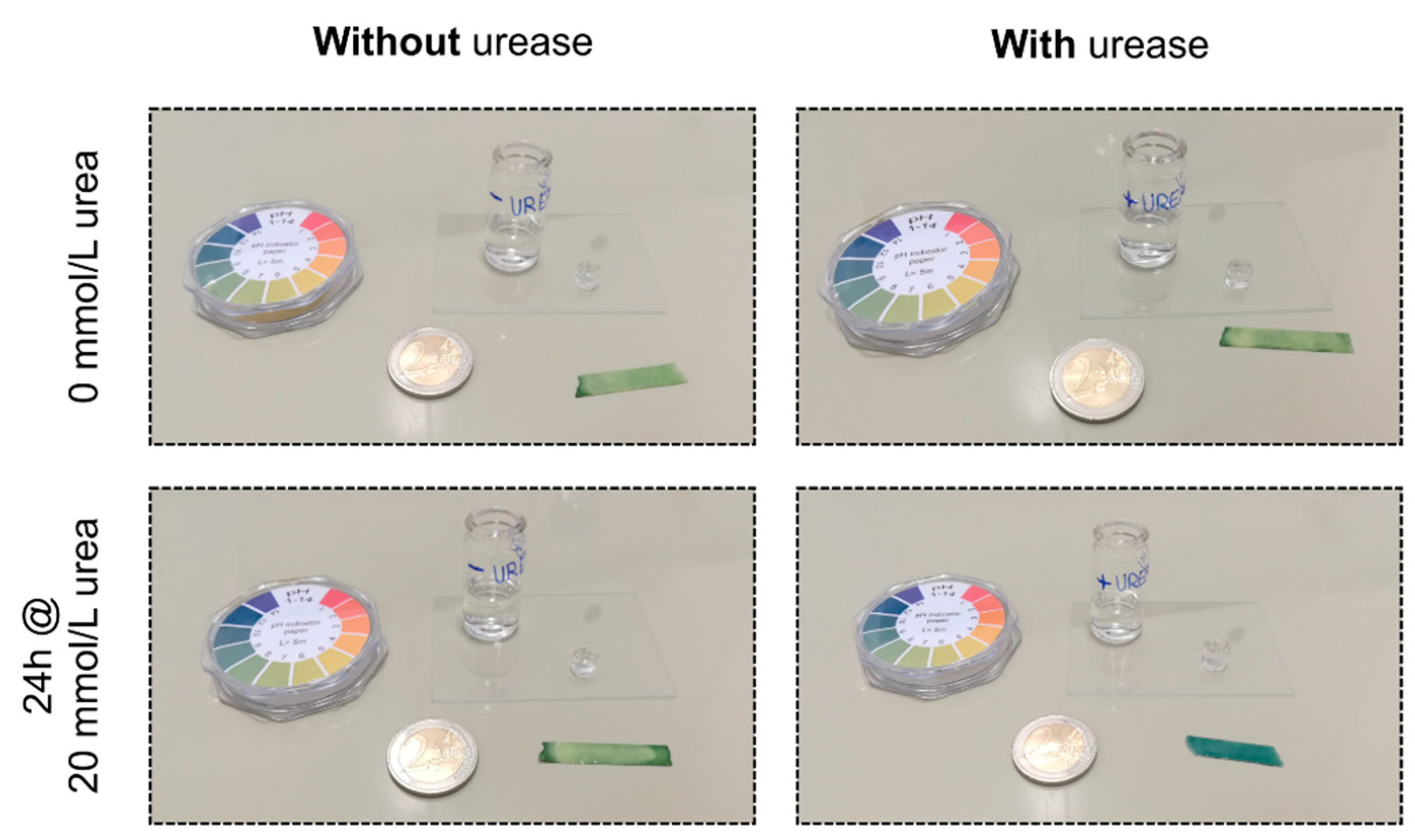 Sensors 19 02858 g002 Sensors 19 02858 g002