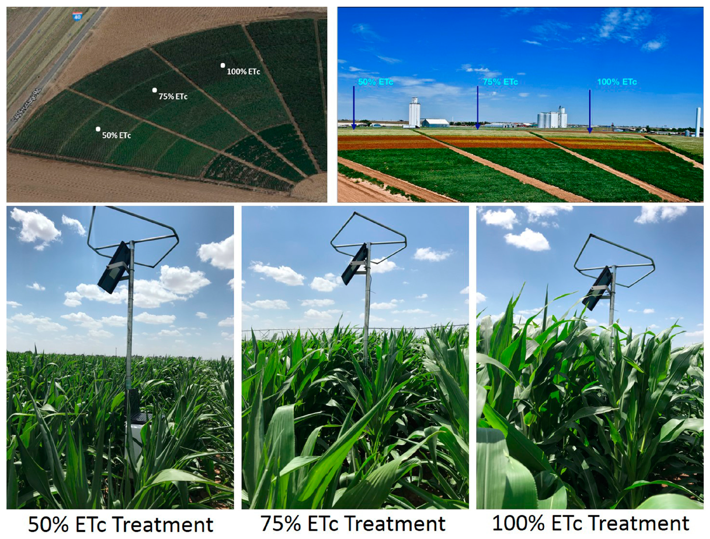 Sensors 19 02872 g001 550