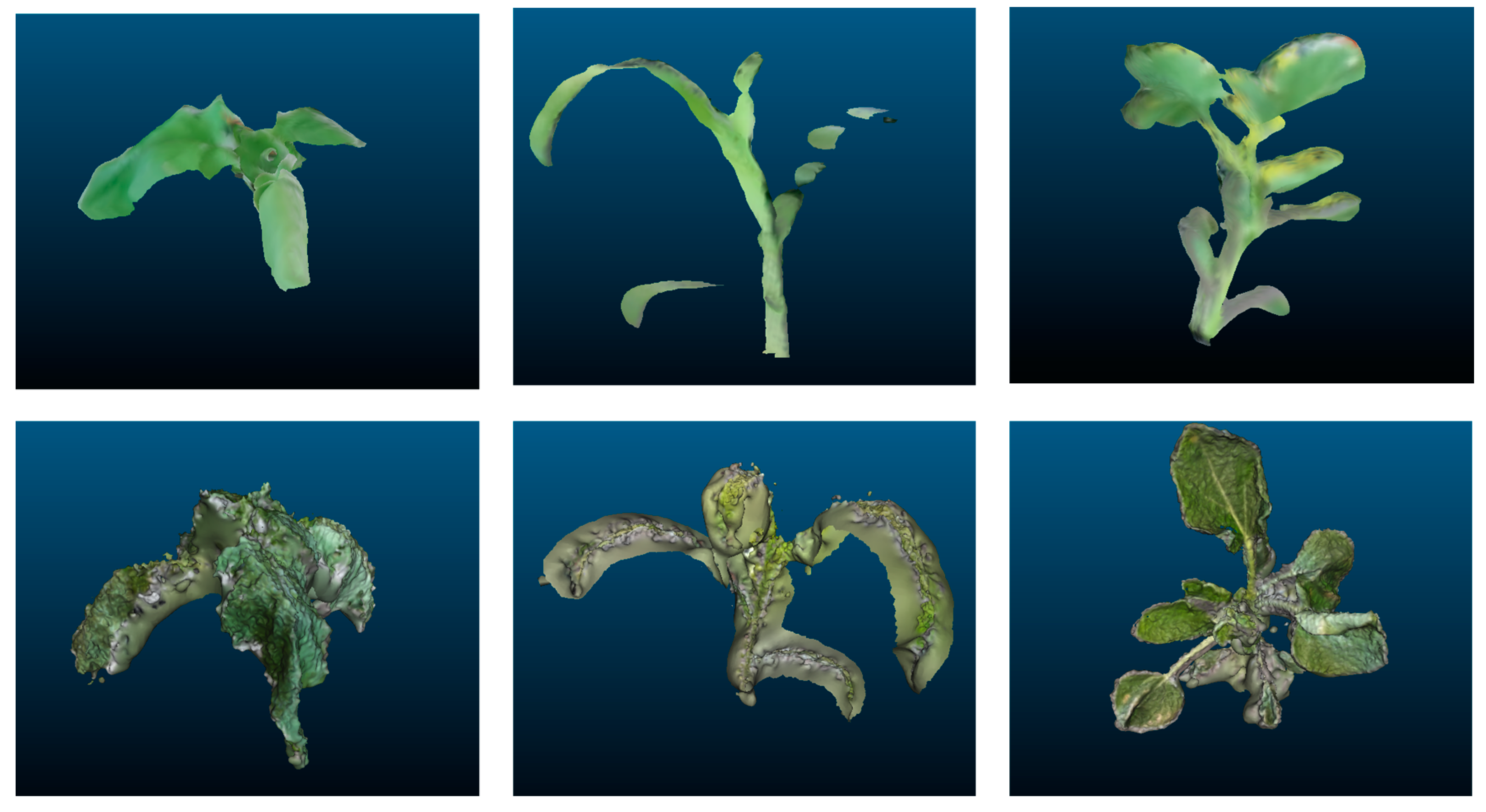 Sensors 19 02883 g002