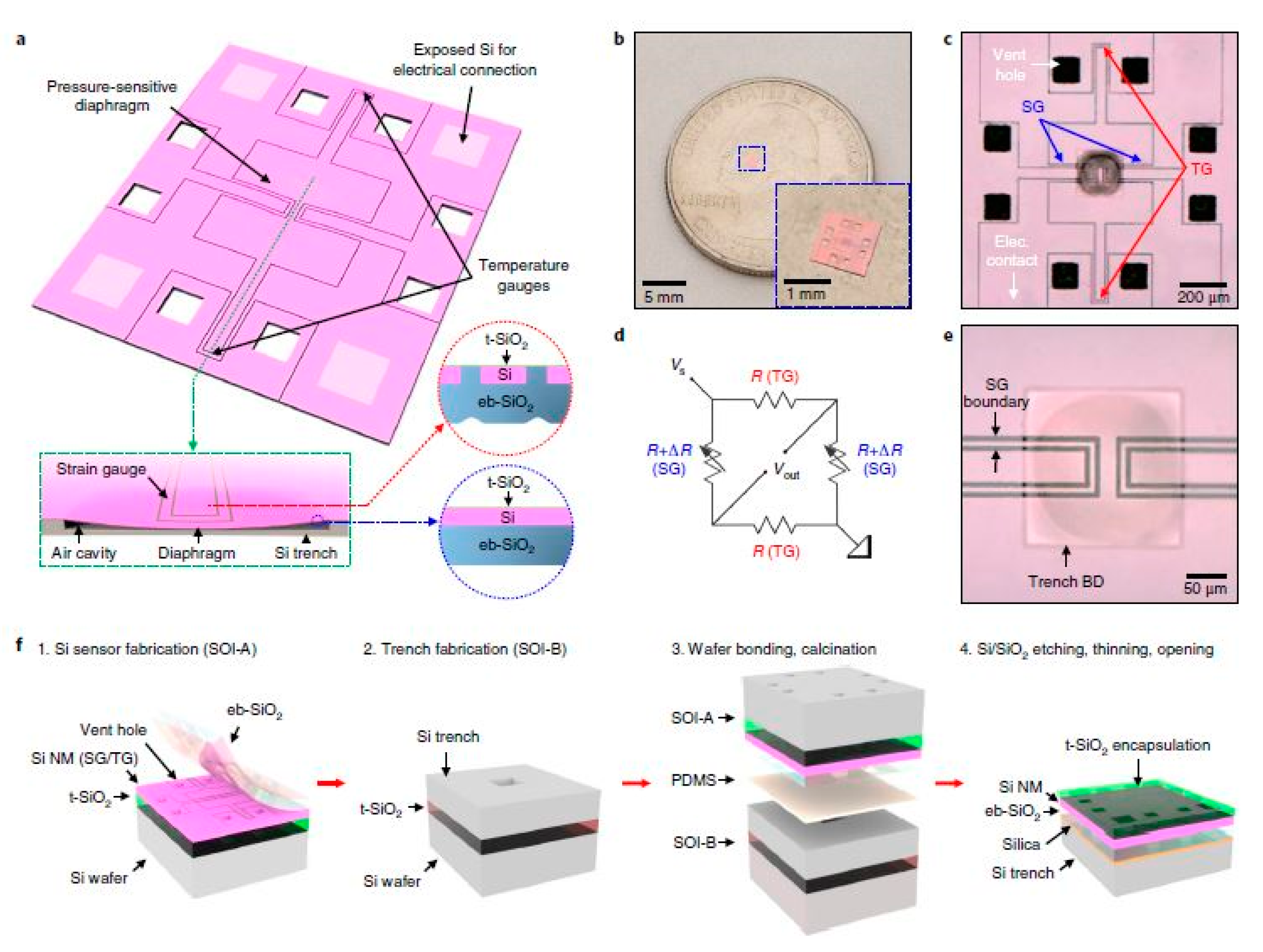 Sensors 19 02908 g005