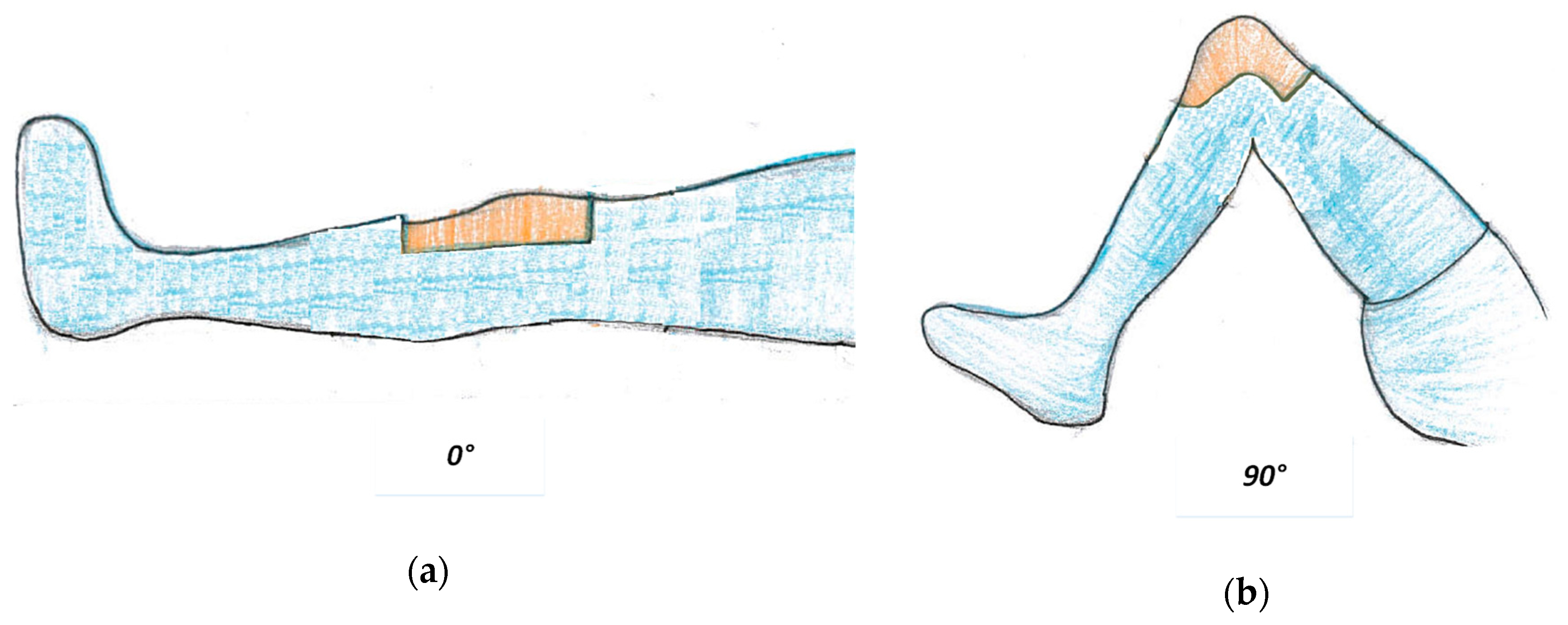 Sensors 19 02909 g012