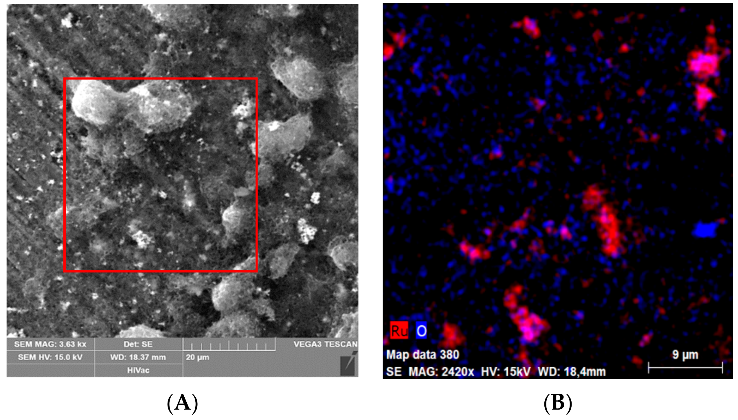 Sensors 19 02939 g003 Sensors 19 02939 g003