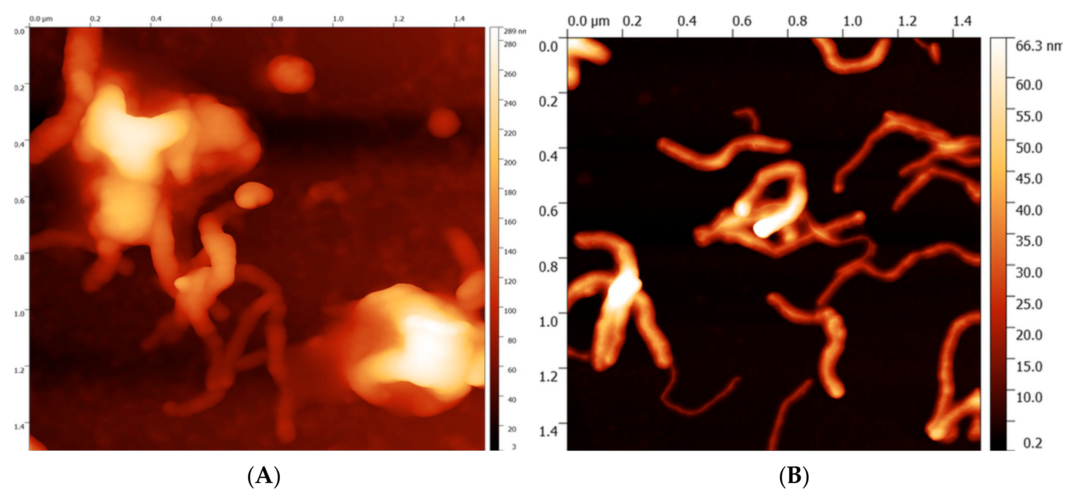 Sensors 19 02939 g004 Sensors 19 02939 g004