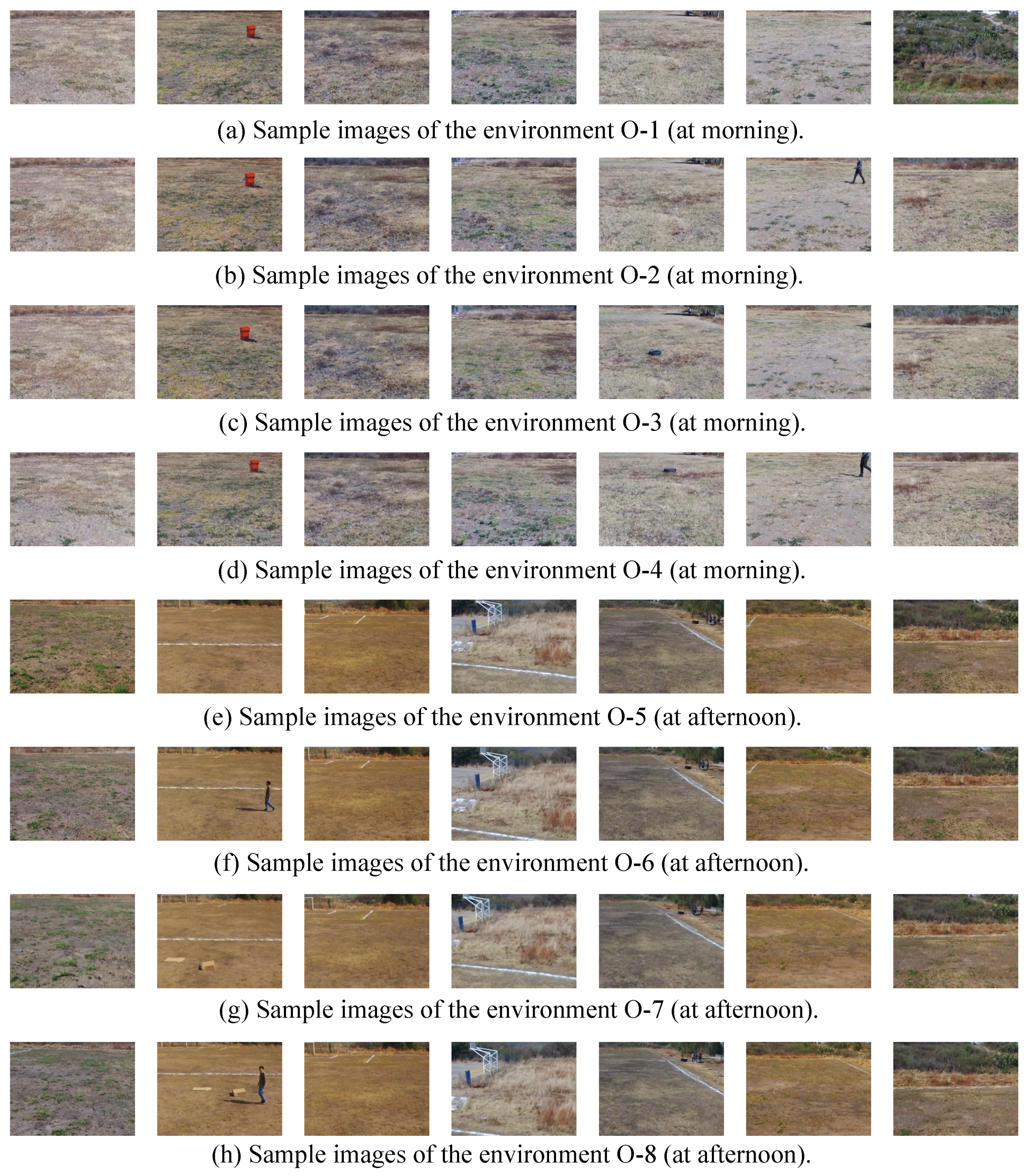 Sensors 19 02965 g007