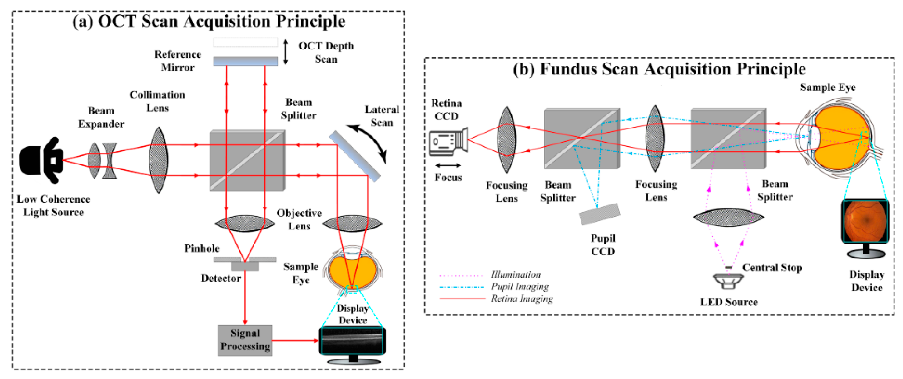Sensors 19 02970 g001