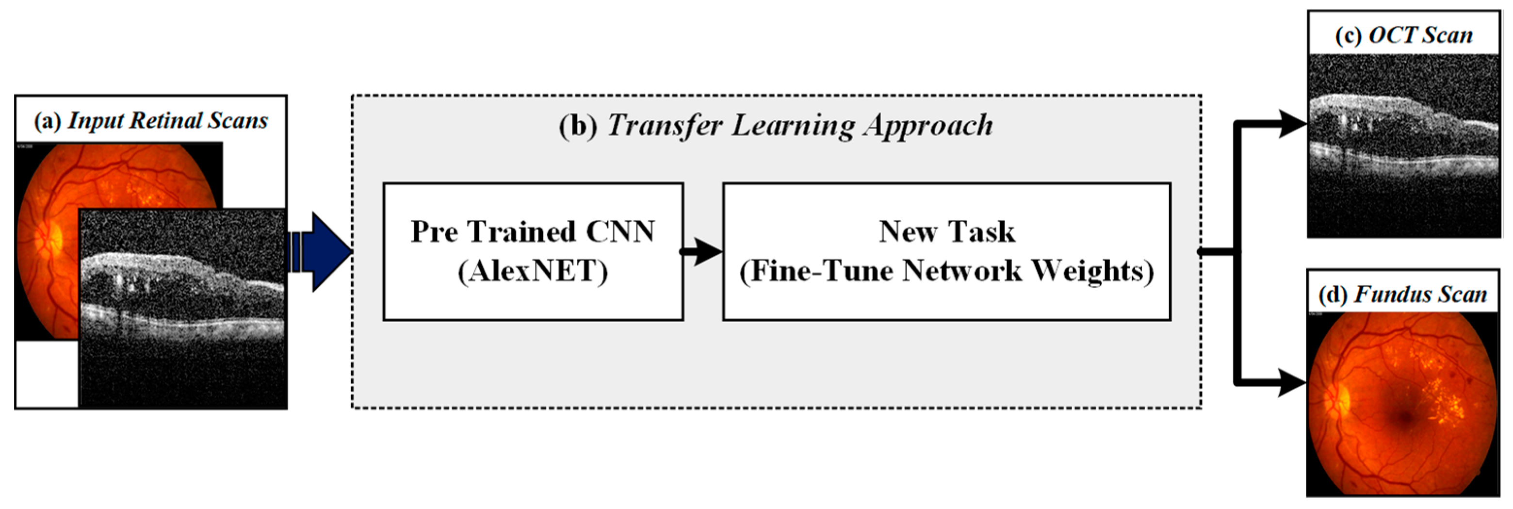 Sensors 19 02970 g004
