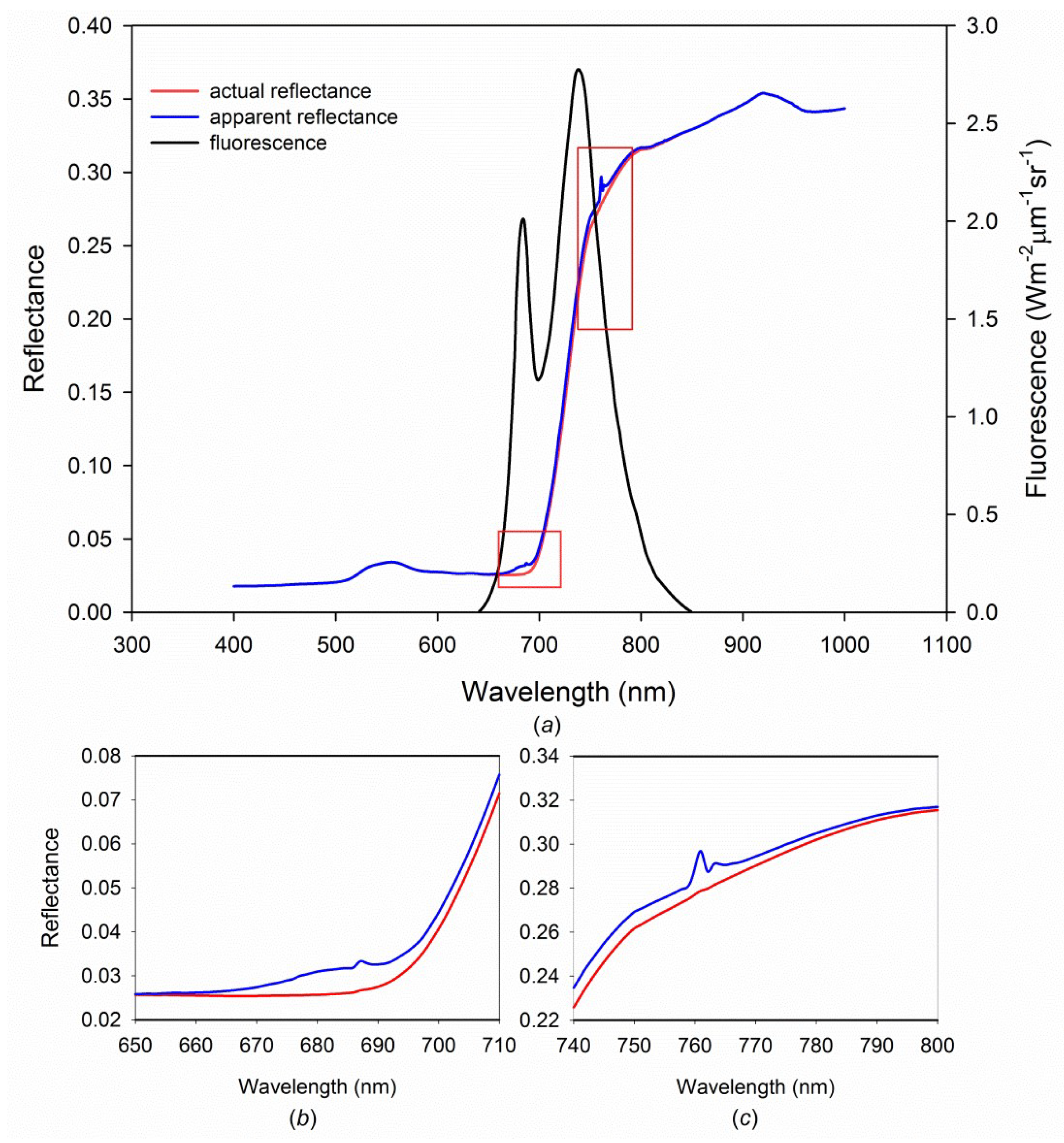 Sensors Free FullText Estimation of Chlorophyll Fluorescence at