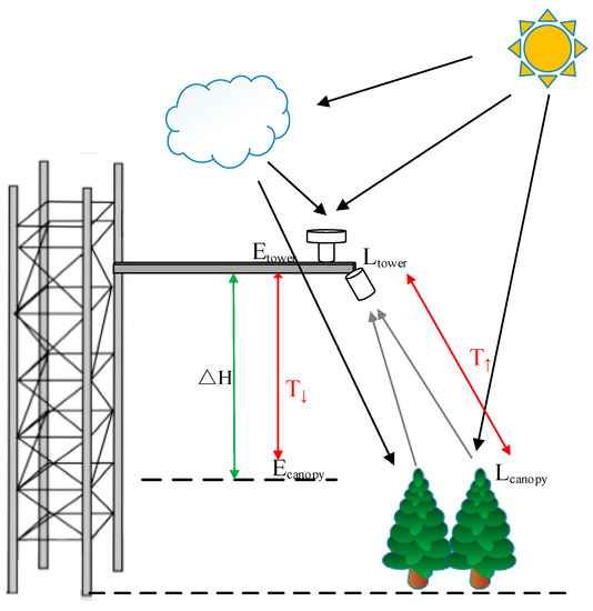 SIFSpec: Measuring Solar-Induced Chlorophyll Fluorescence