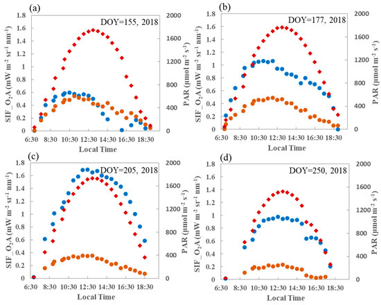 SIFSpec: Measuring Solar-Induced Chlorophyll Fluorescence