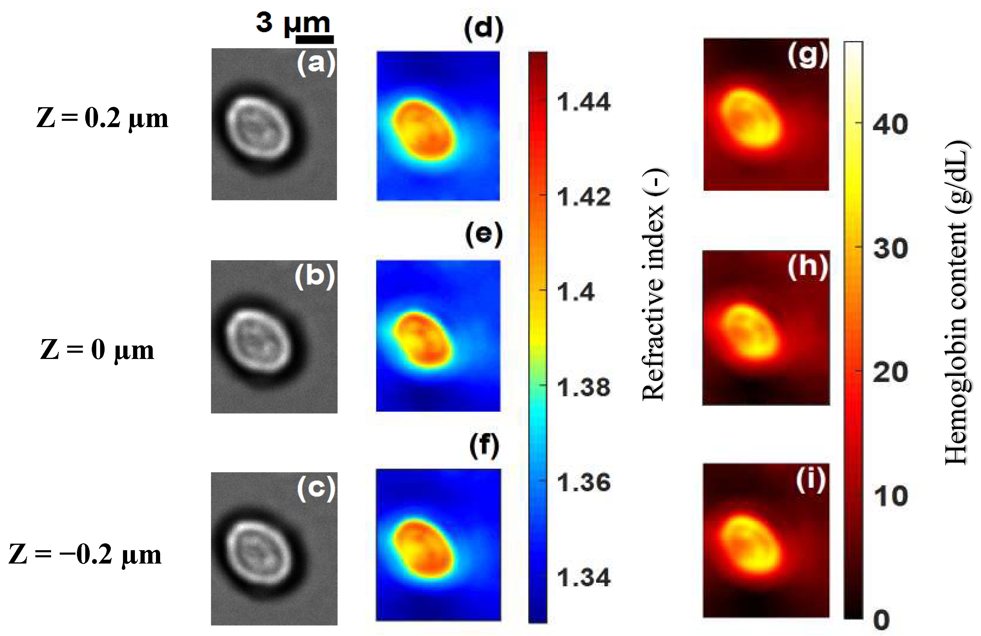 Sensors 19 03045 g003