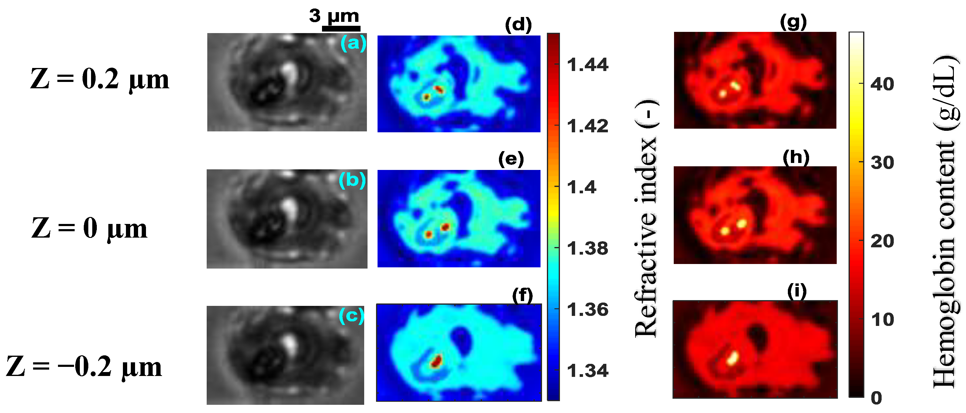 Sensors 19 03045 g008