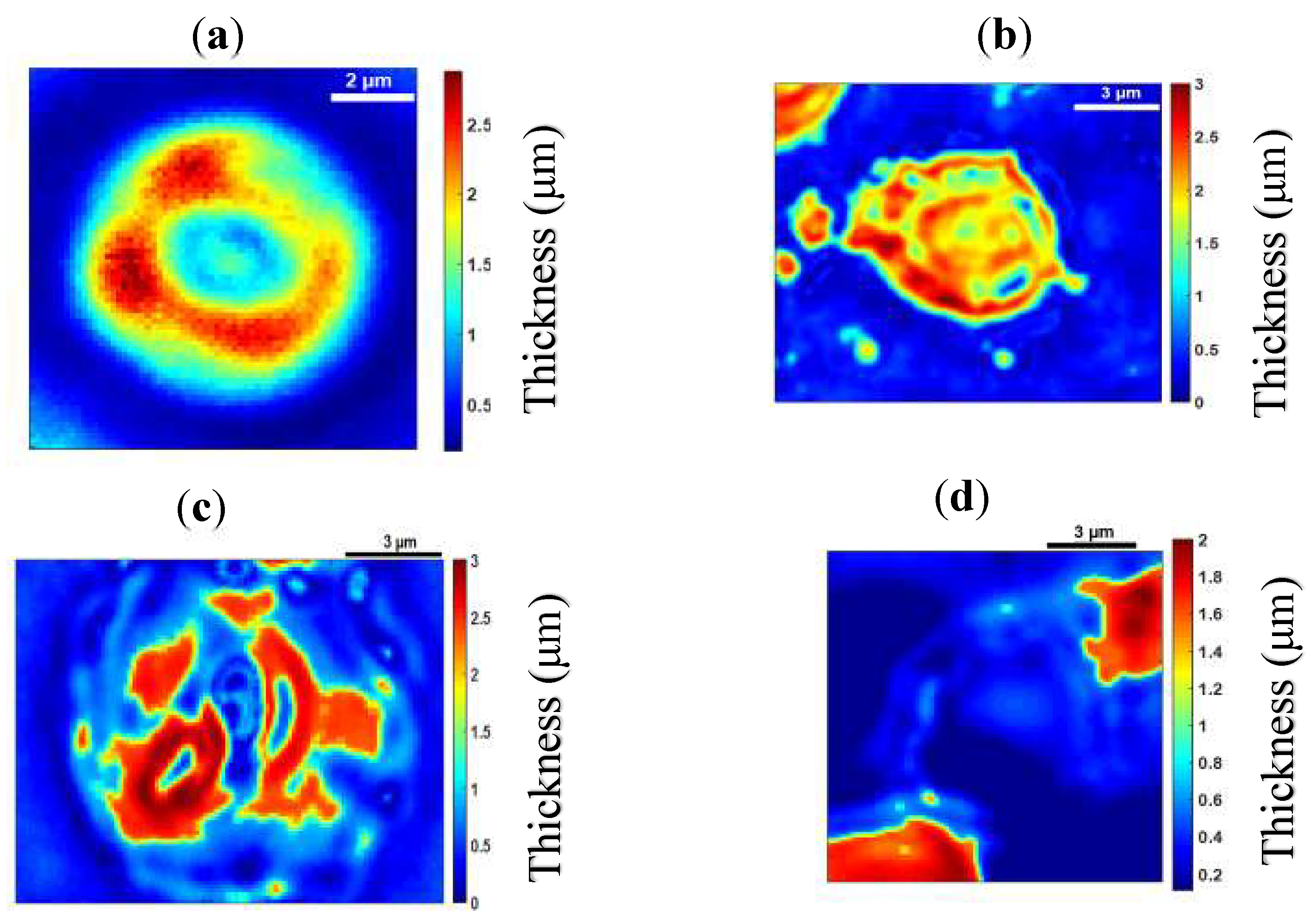Sensors 19 03045 g010