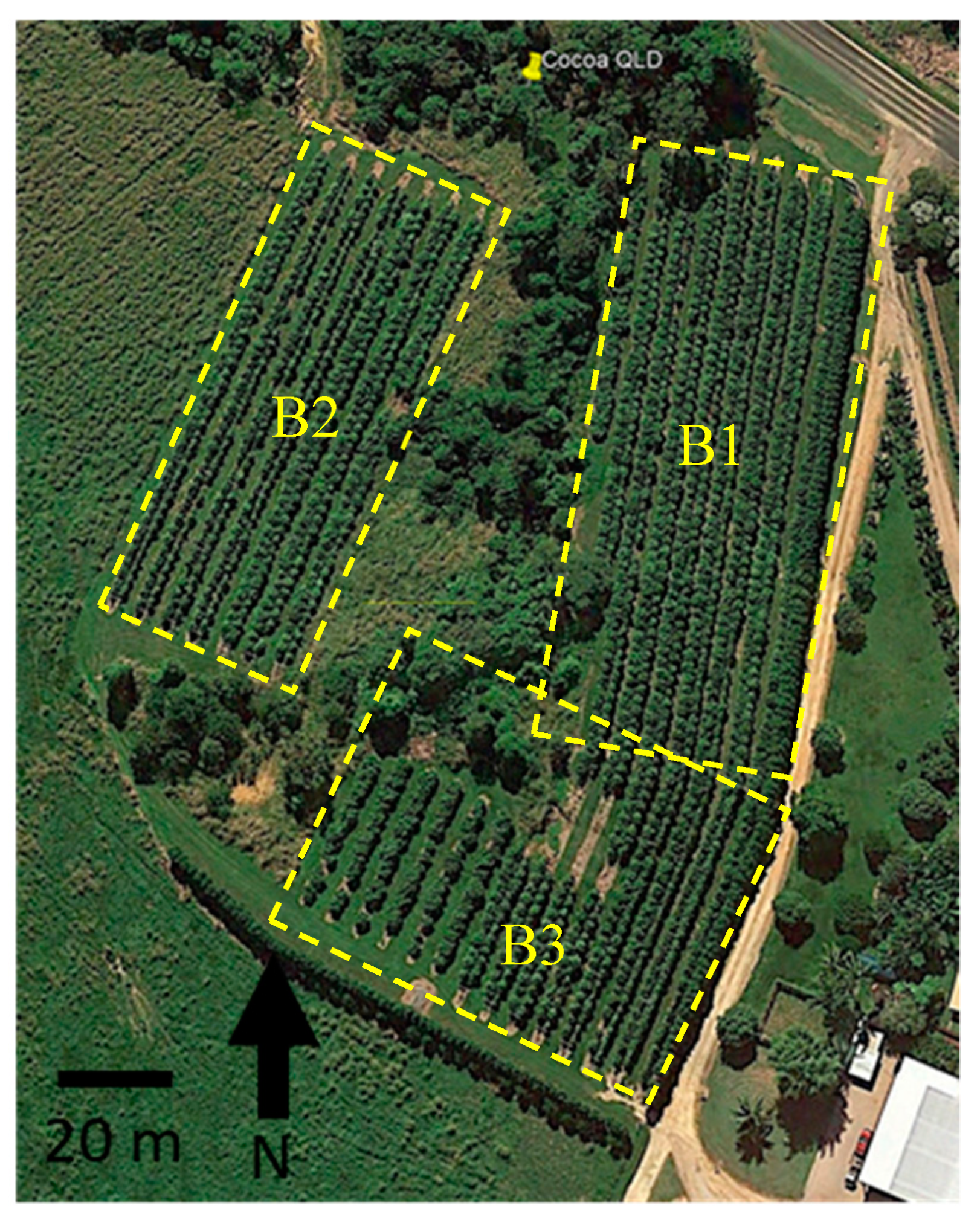 Sensors 19 03054 g001 550