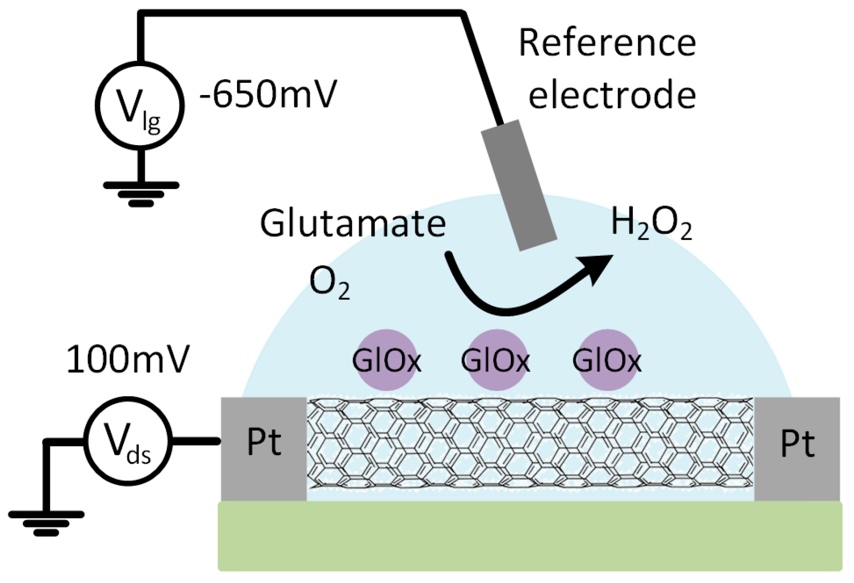 Sensors Free FullText CarbonNanotubeBased Monolithic CMOS