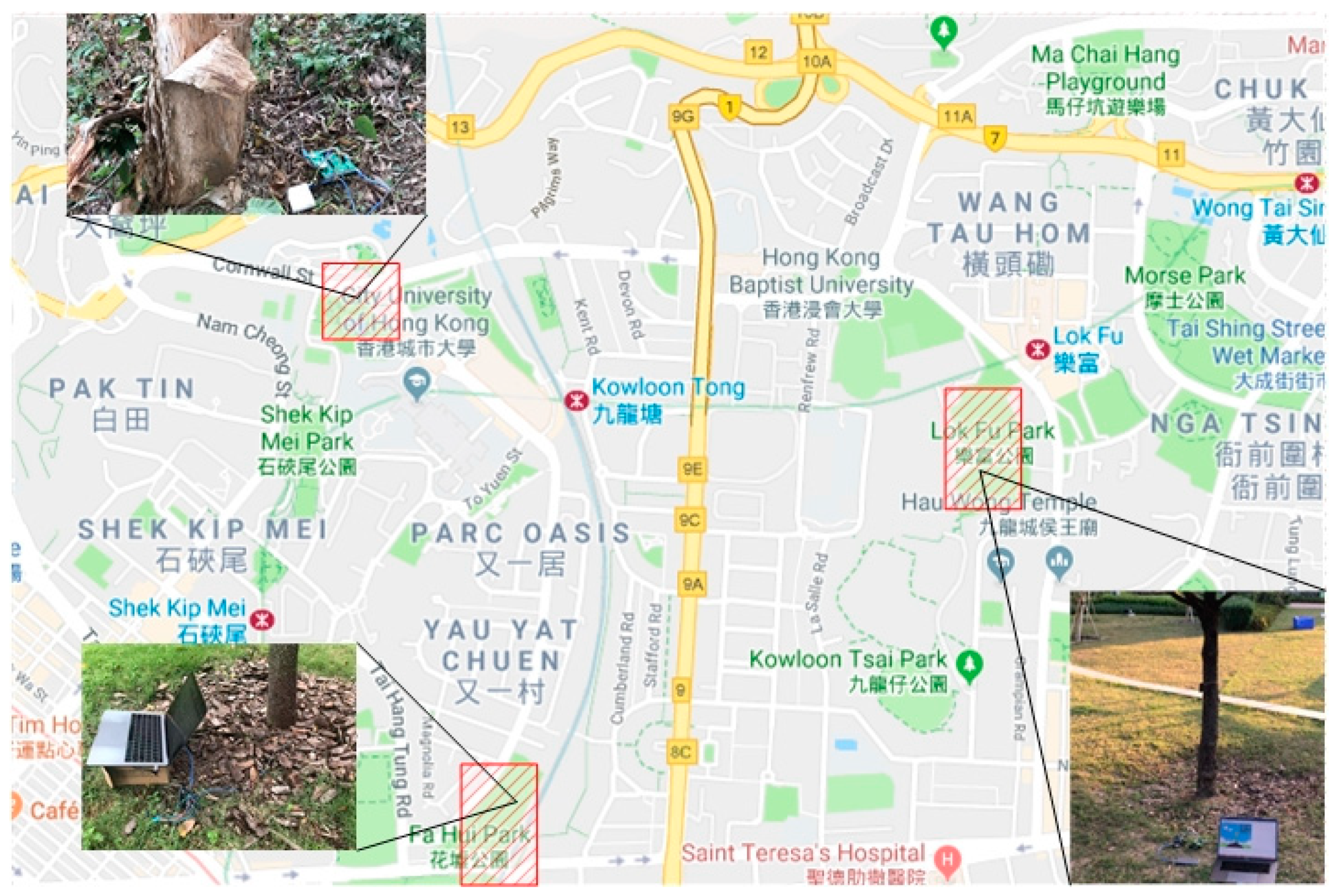 Sensors 19 03115 g003