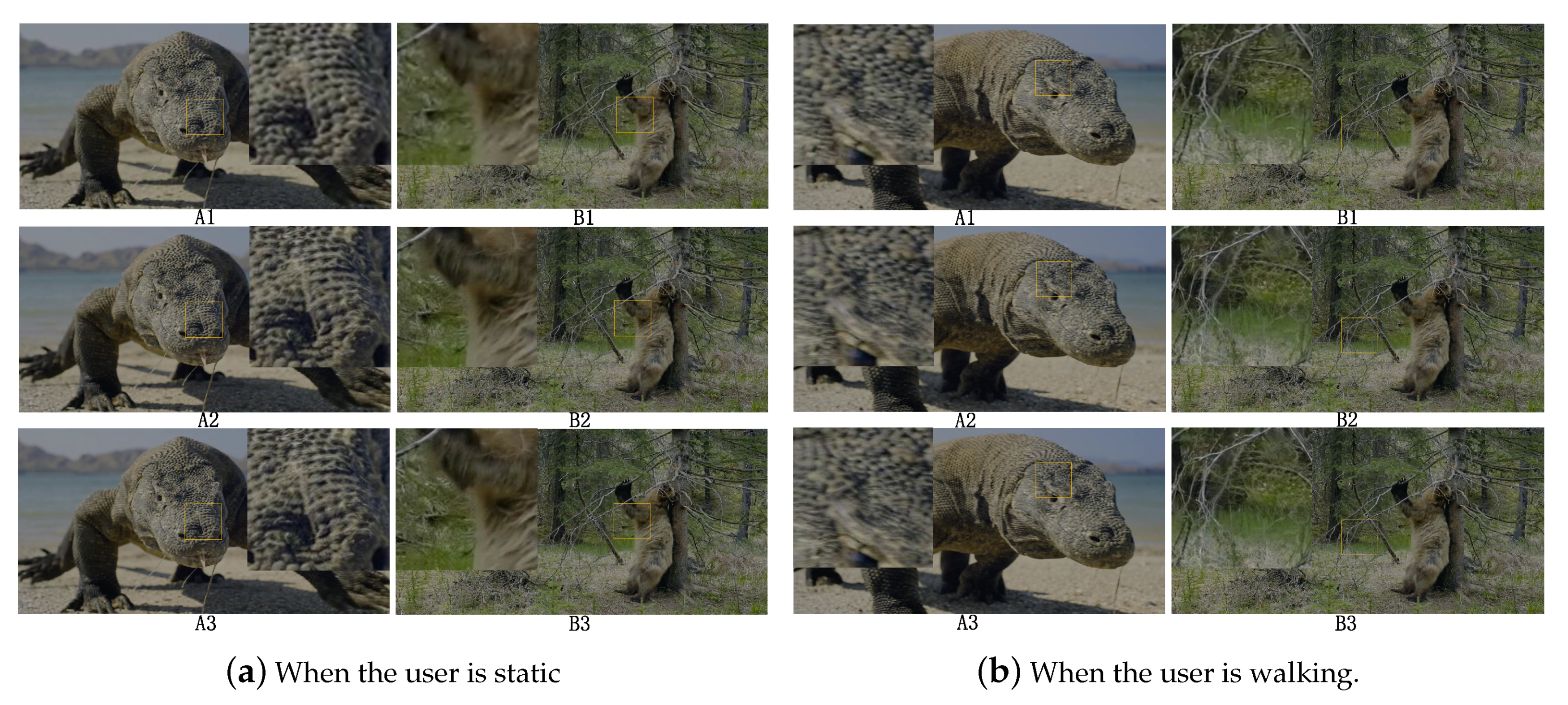 Sensors 19 03121 g008