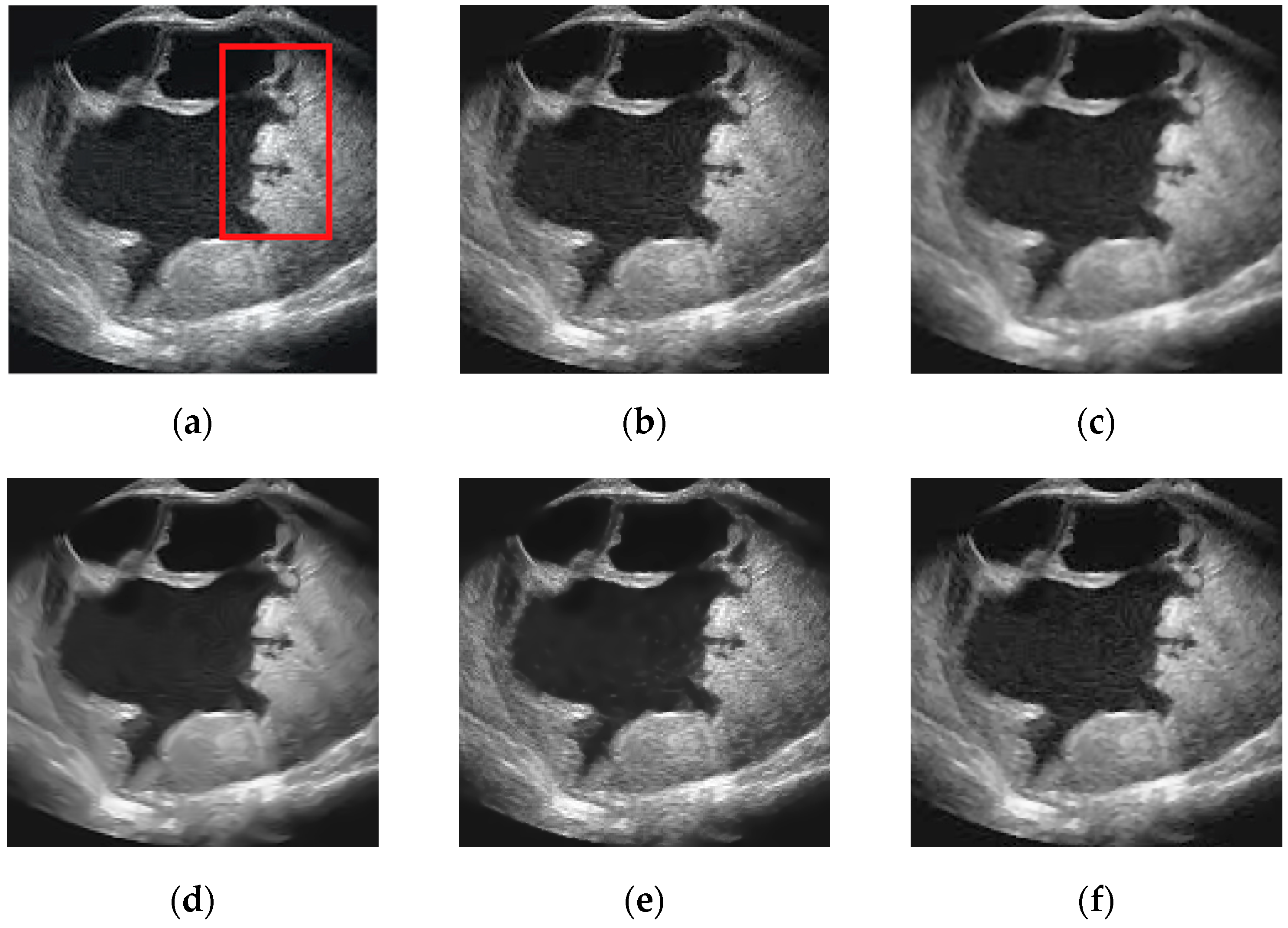 Sensors 19 03164 g009