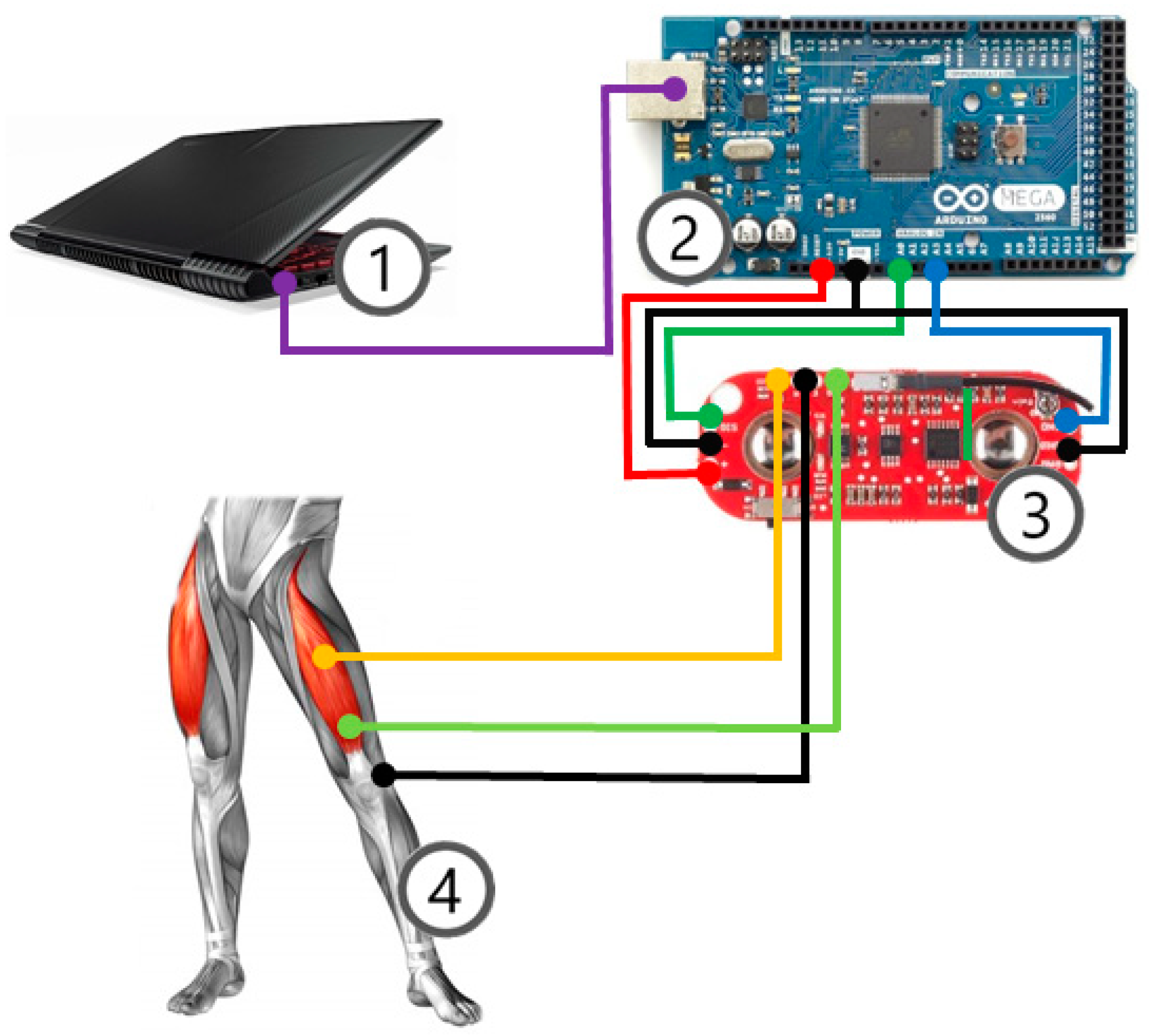 Signal Detector EMG Muscle Sensor Board For Arduino Disposable Surface Electrode 