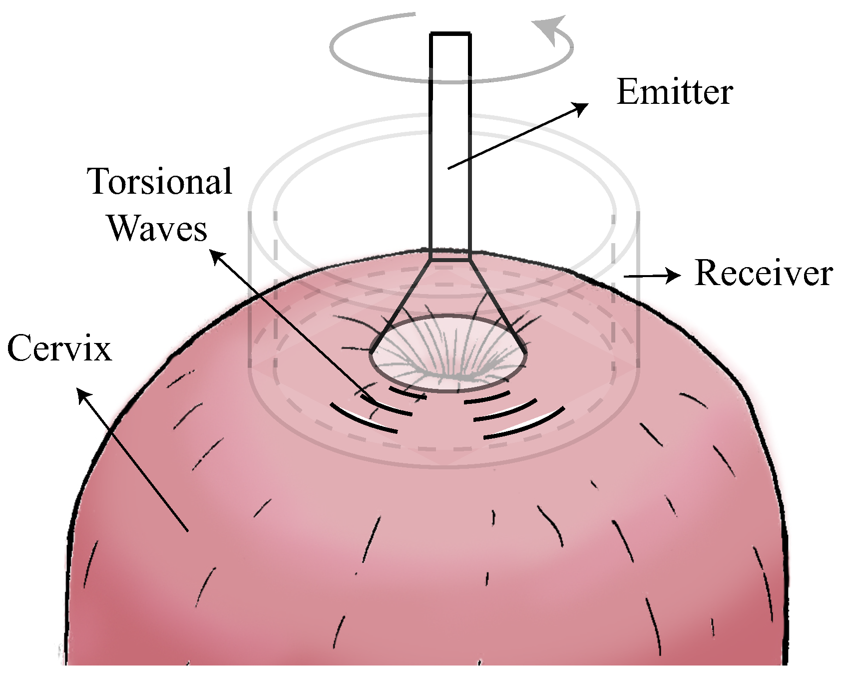 Sensors 19 03249 g001