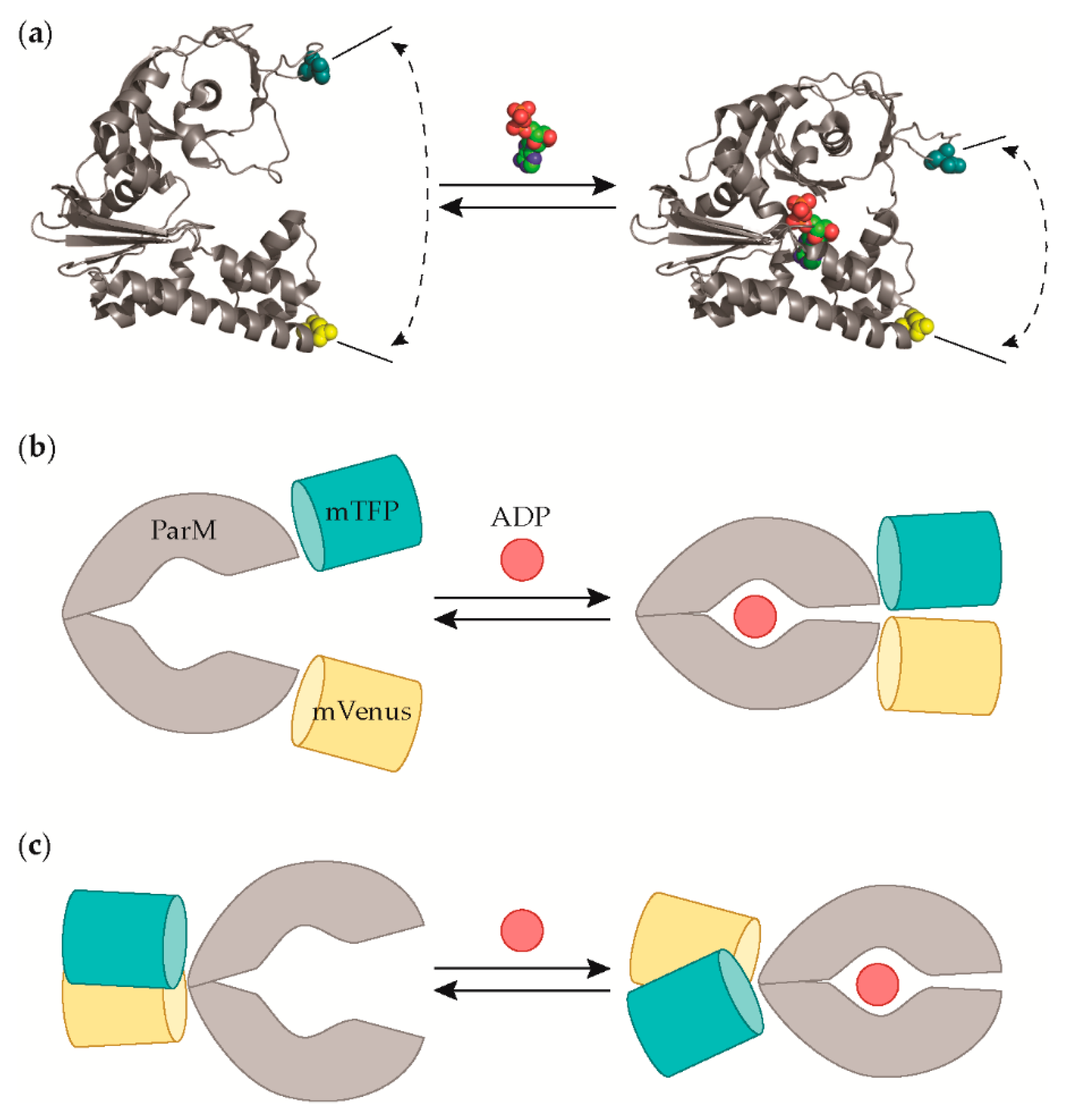 Sensors 19 03253 g001 Sensors 19 03253 g001