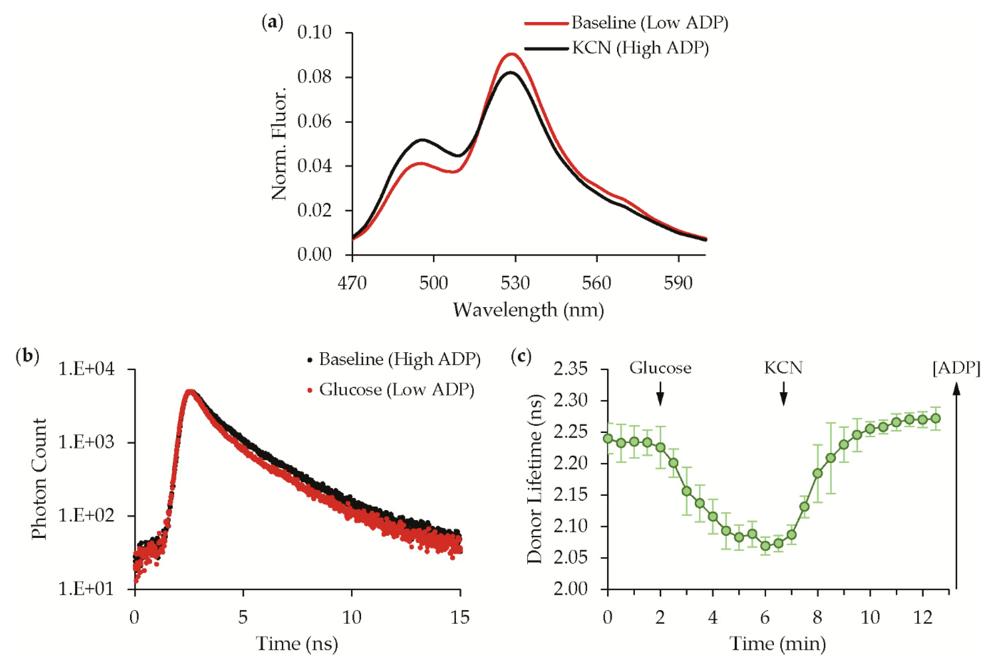Sensors 19 03253 g004 Sensors 19 03253 g004