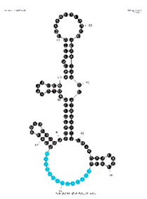 Sensors 19 03270 i002 Sensors 19 03270 i002