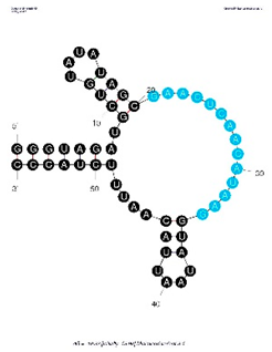 Sensors 19 03270 i005 Sensors 19 03270 i005