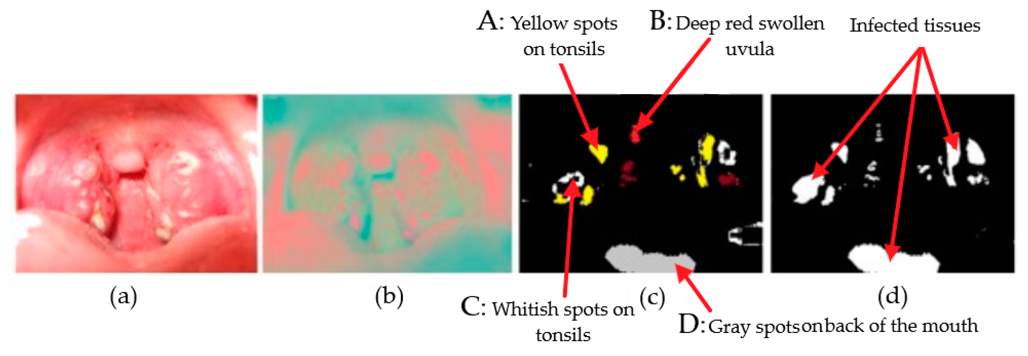 Sensors 19 03307 g012