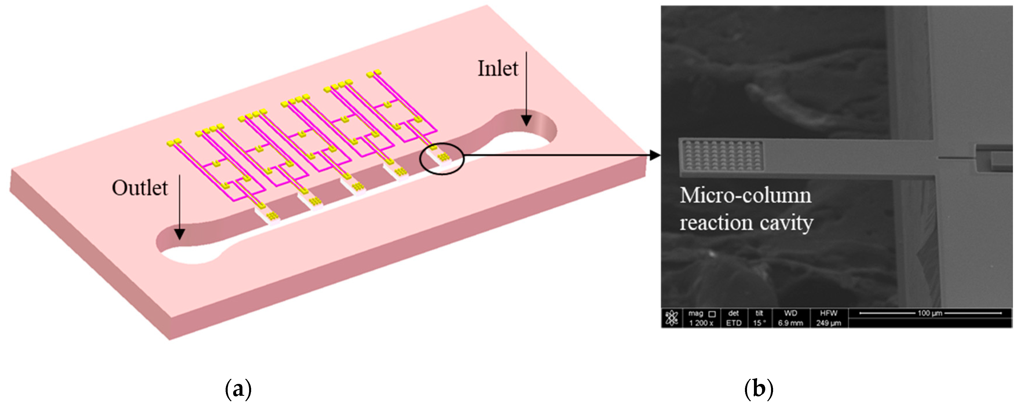 Sensors 19 03326 g001