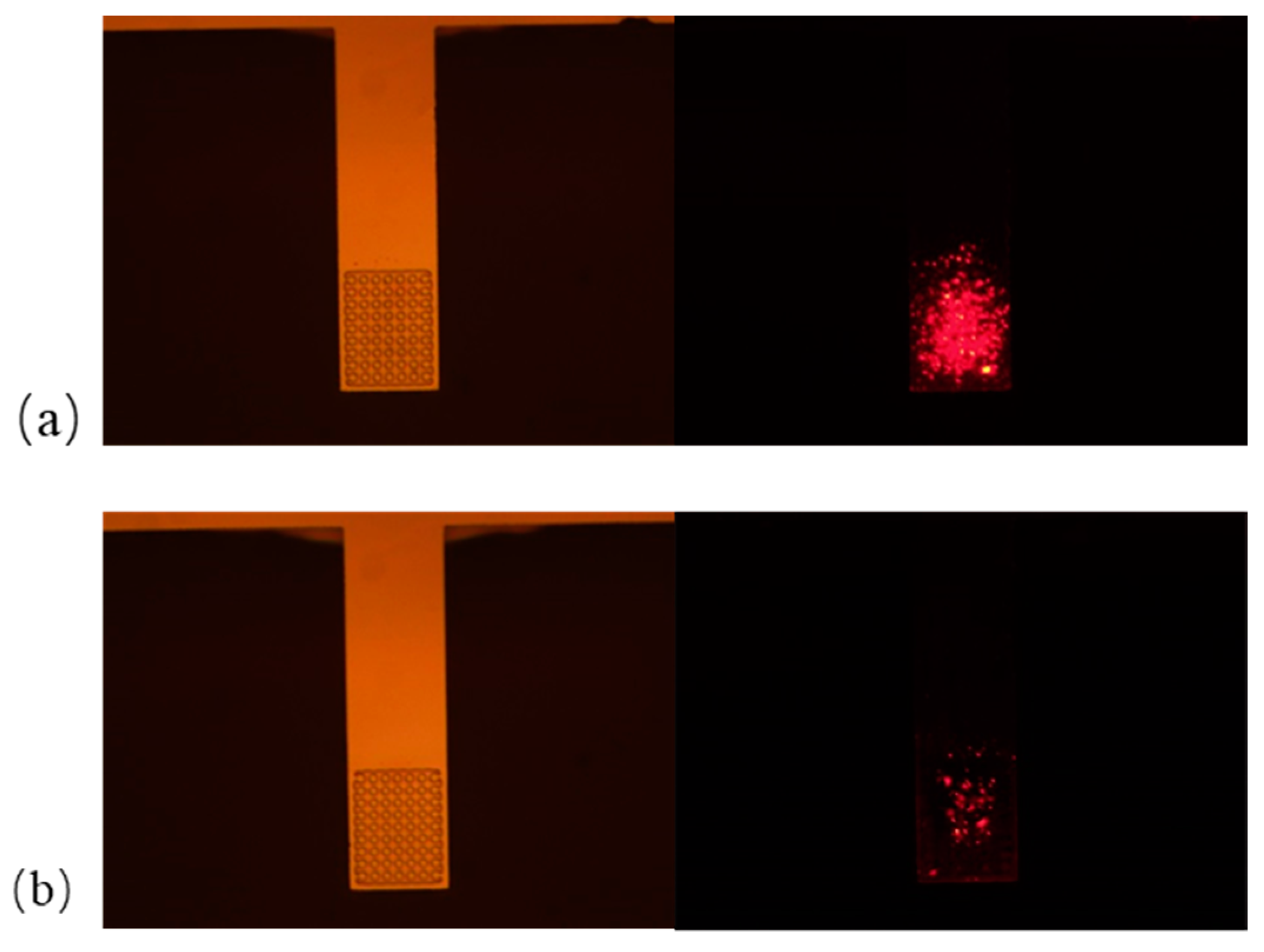 Sensors 19 03326 g006