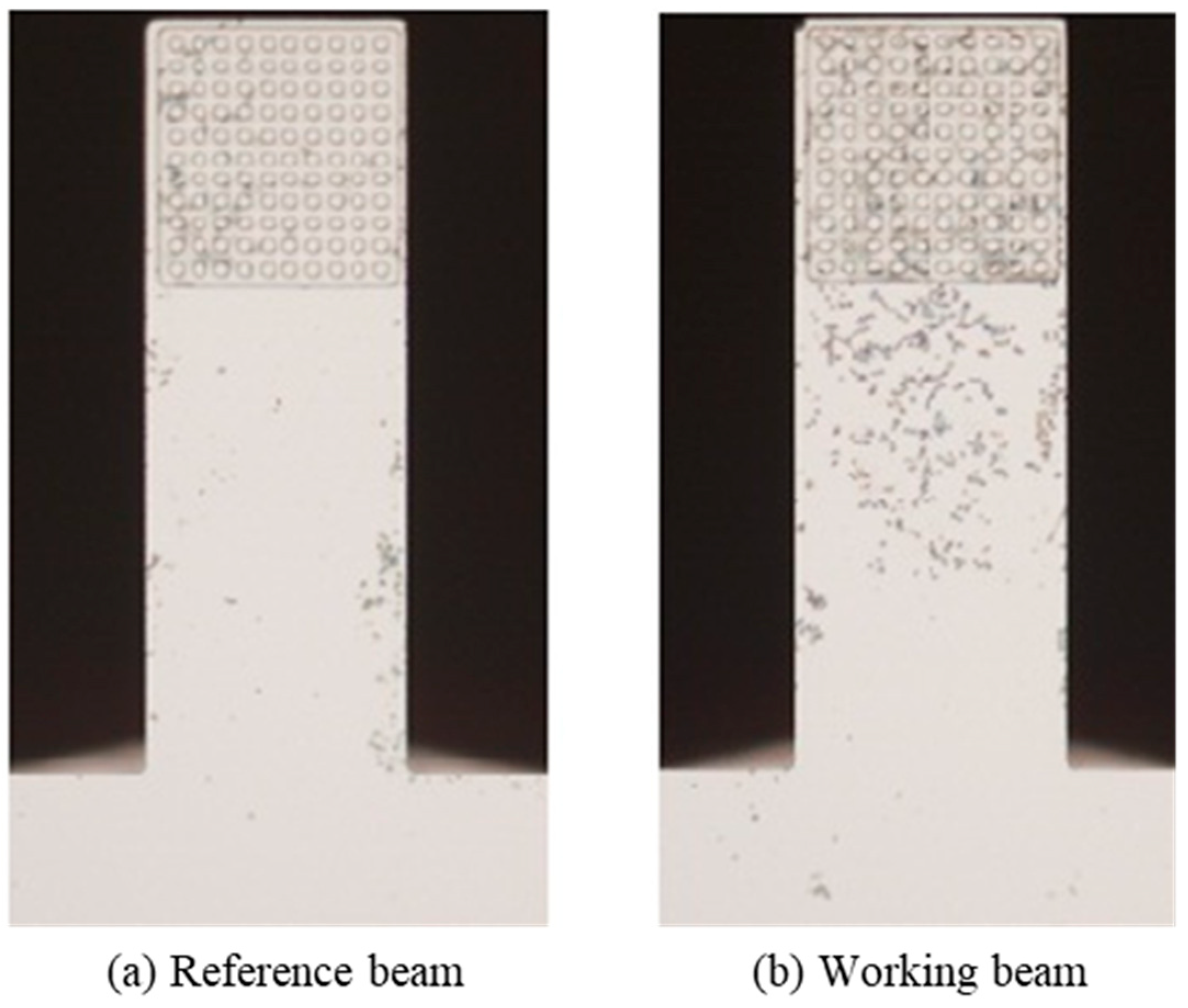Sensors 19 03326 g009