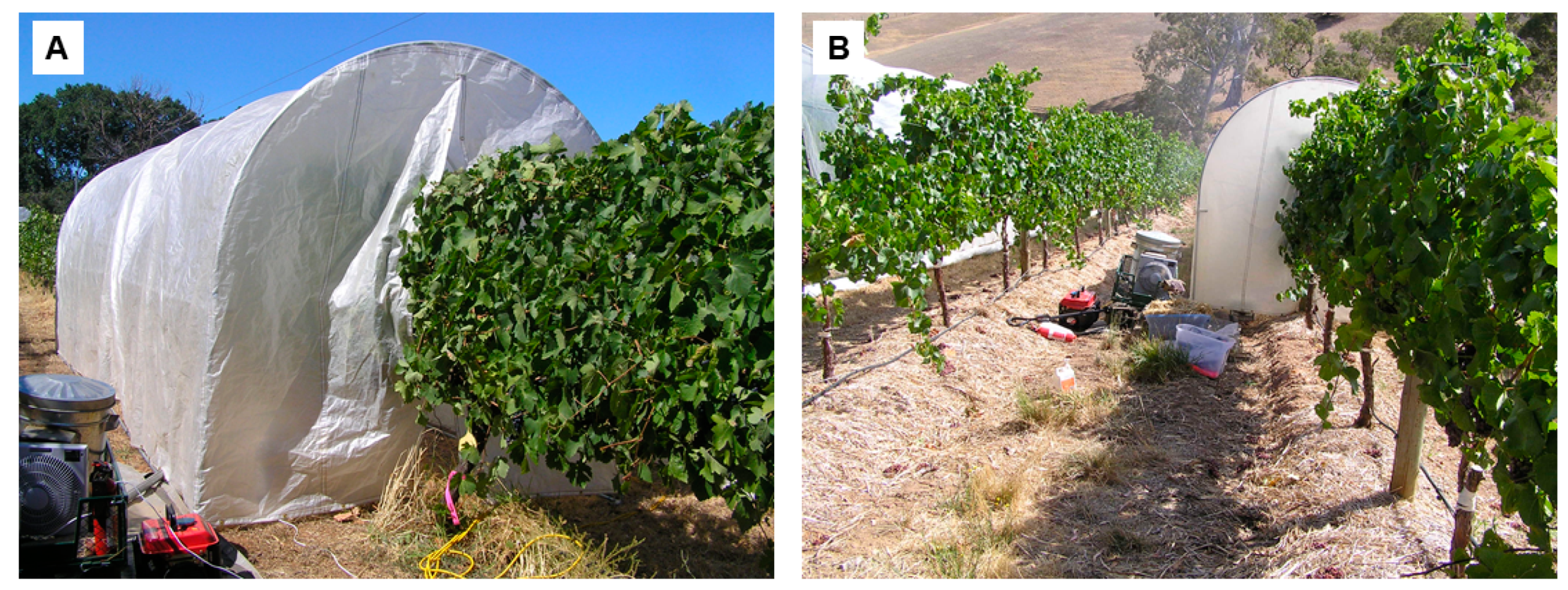 Sensors 19 03335 g001 Sensors 19 03335 g001