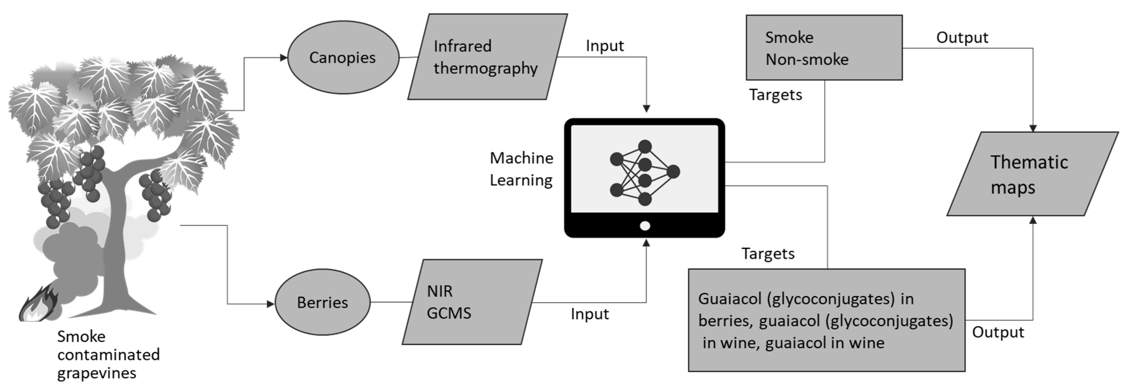 Sensors 19 03335 g009 Sensors 19 03335 g009