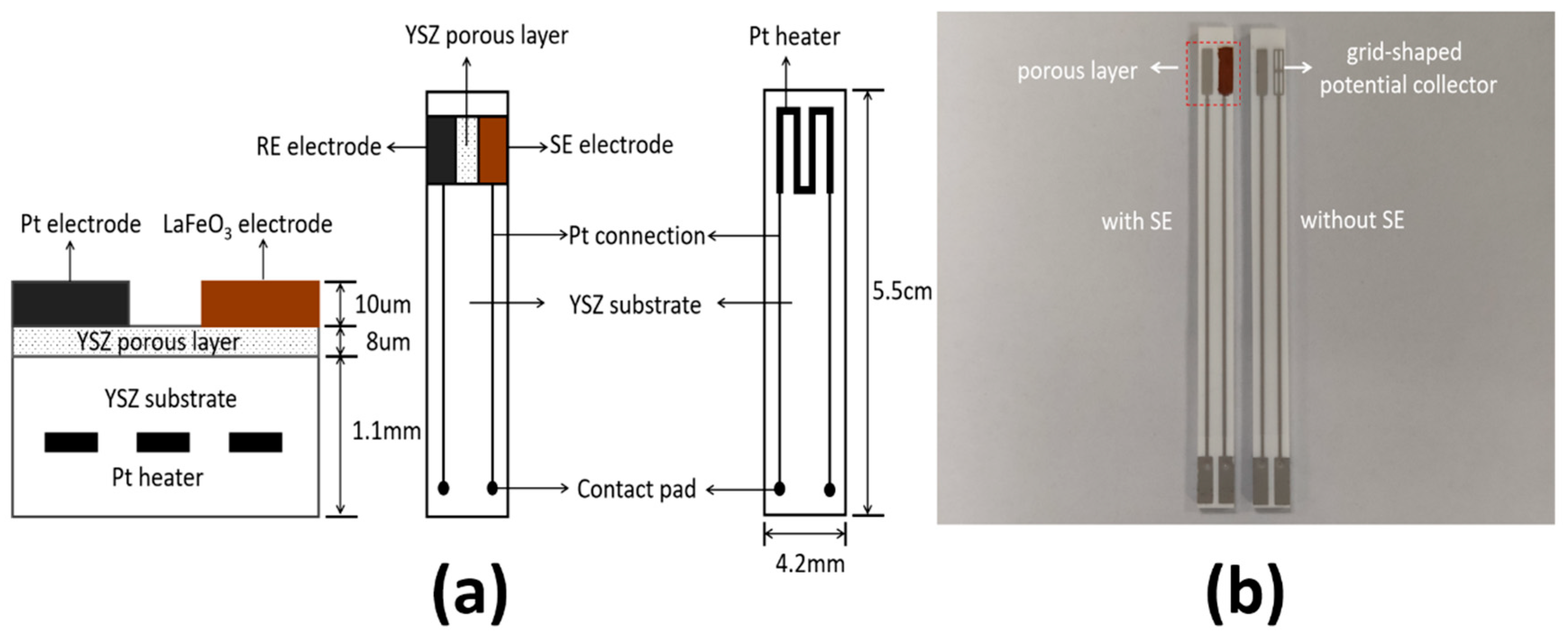 Sensors 19 03337 g001 550