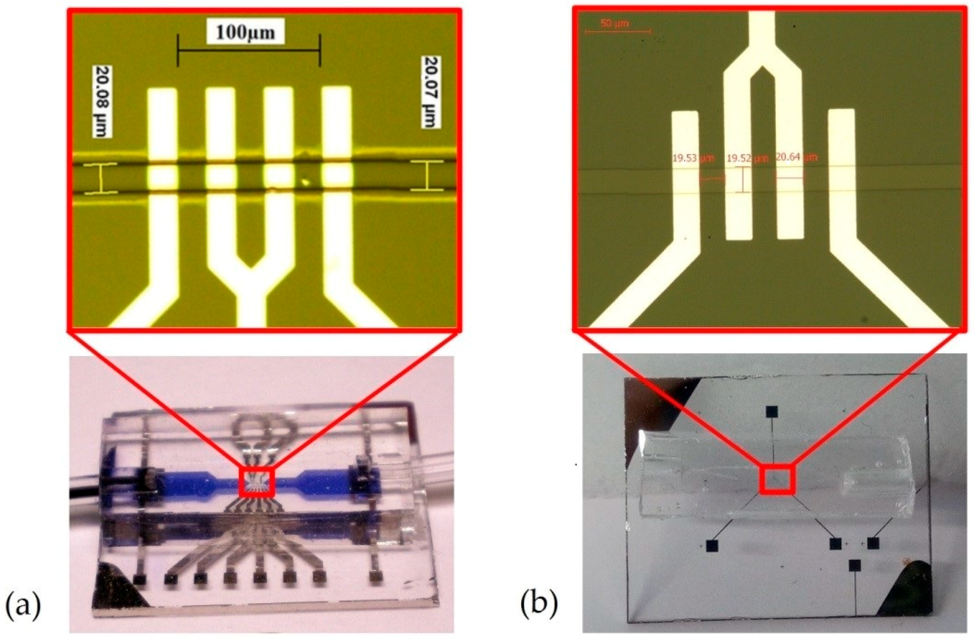 Sensors 19 03366 g005